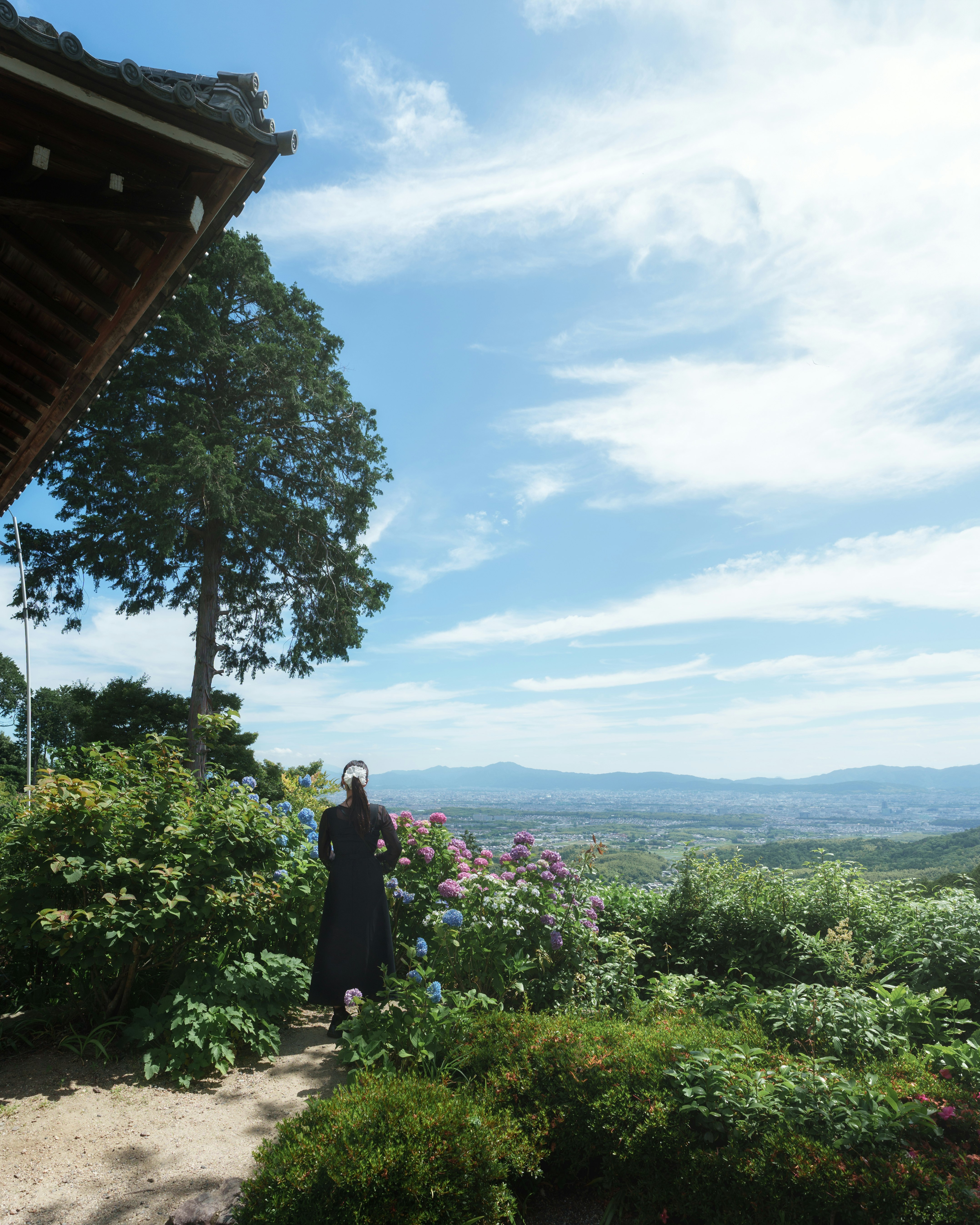木々と花に囲まれた展望スポットからの青空と遠景