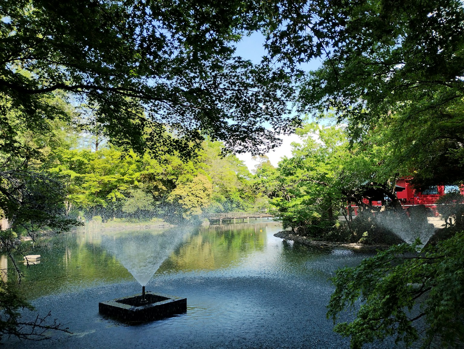 สวนสีเขียวที่มีน้ำพุในบ่อ