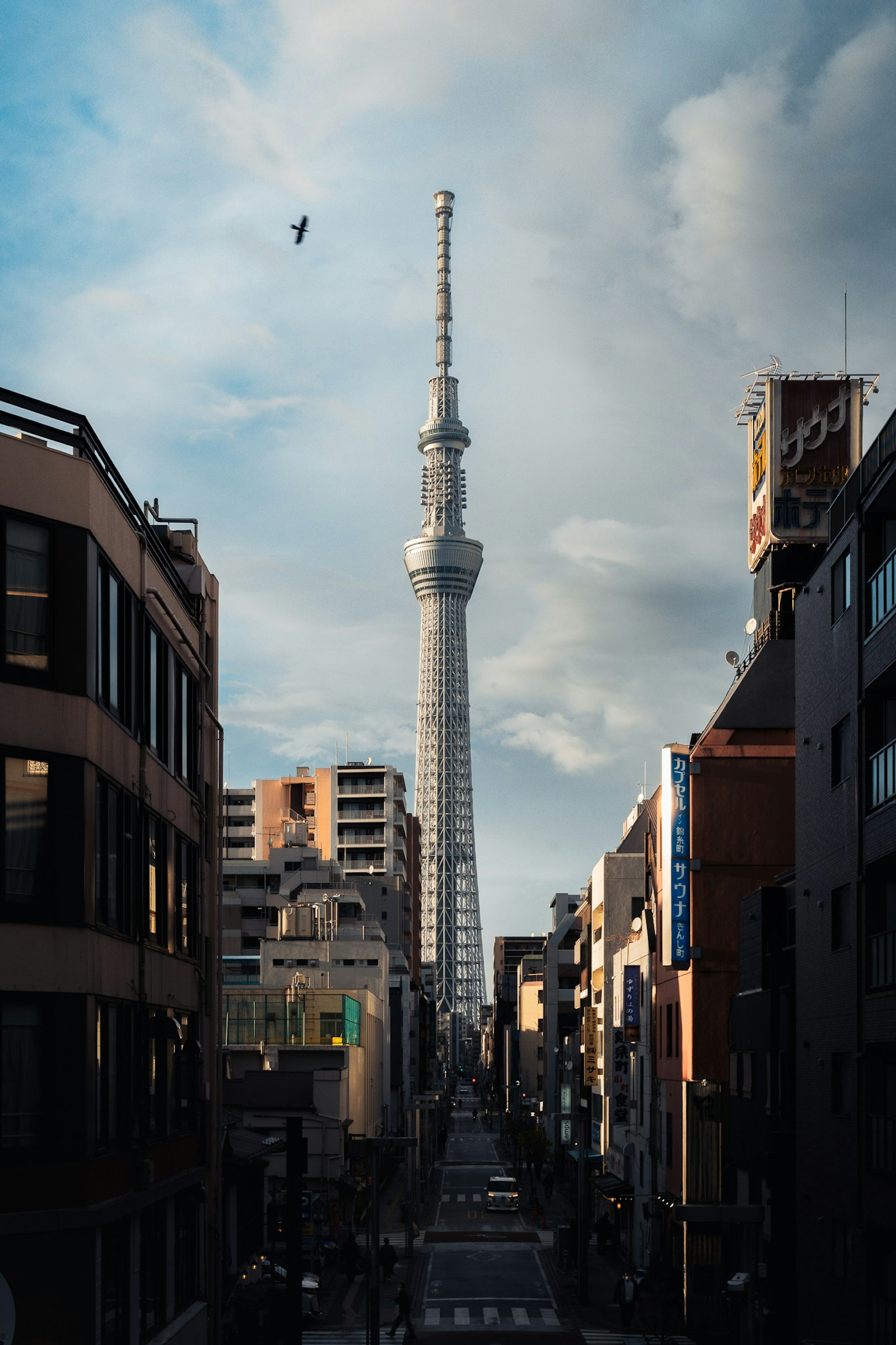 城市景观中东京晴空塔与阴云天空