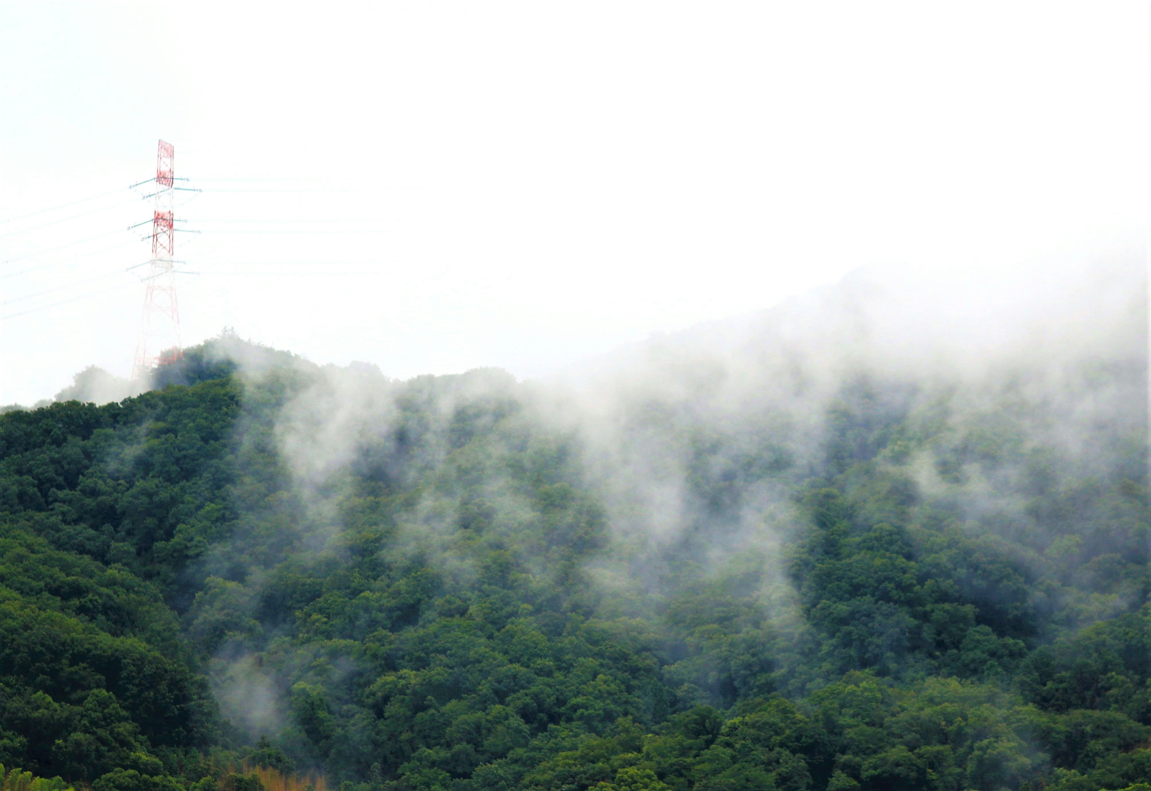雨上がりの霧に包まれた山並みと稜線の展望