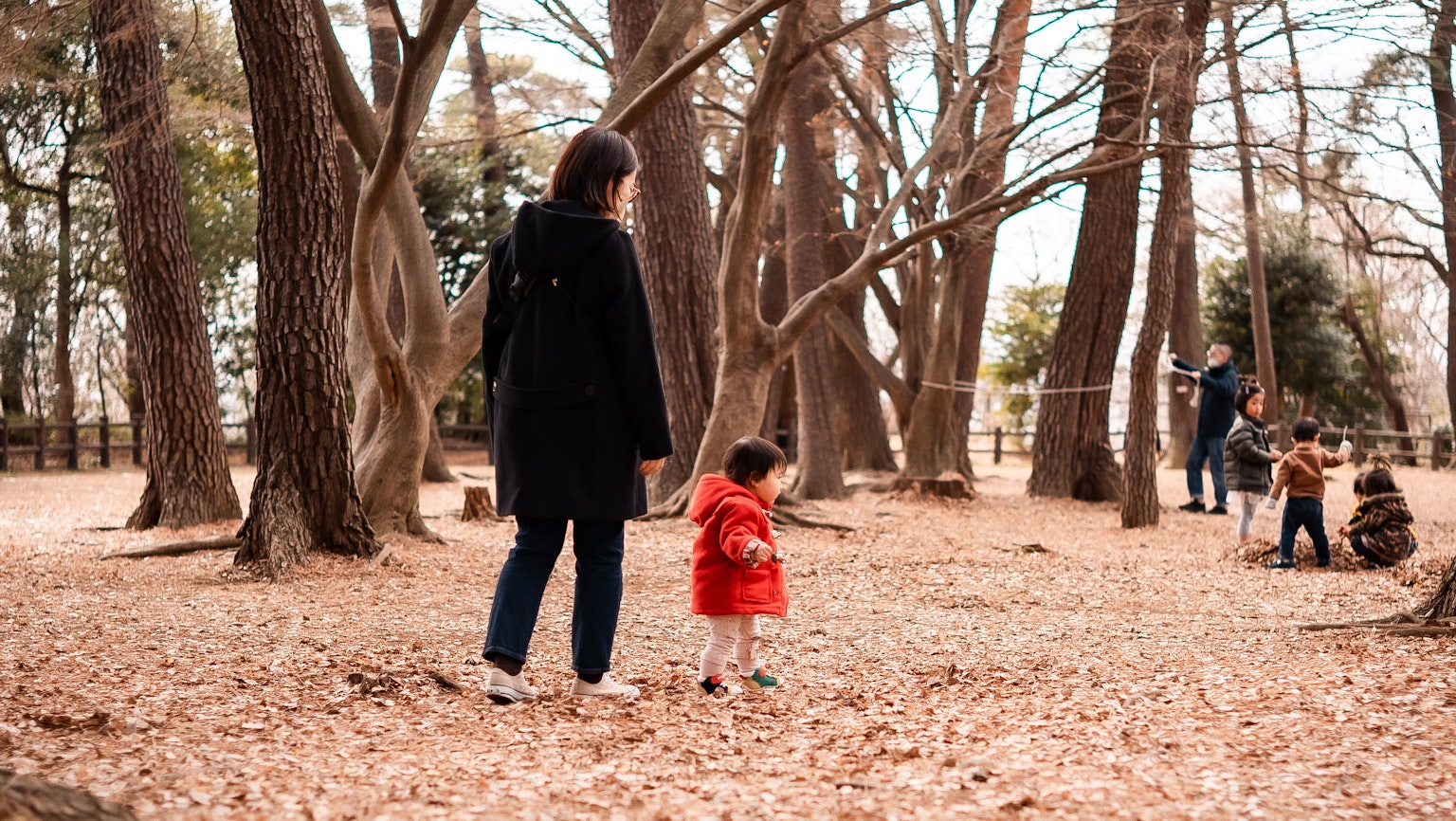 Una scena di un genitore e un bambino in un parco Bambino in un cappotto rosso che cammina su foglie secche con una madre in un cappotto nero