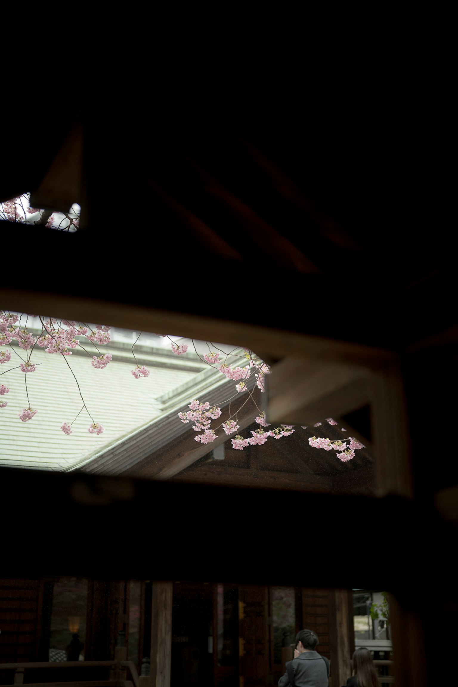 Part of a Japanese building roof adorned with cherry blossom petals