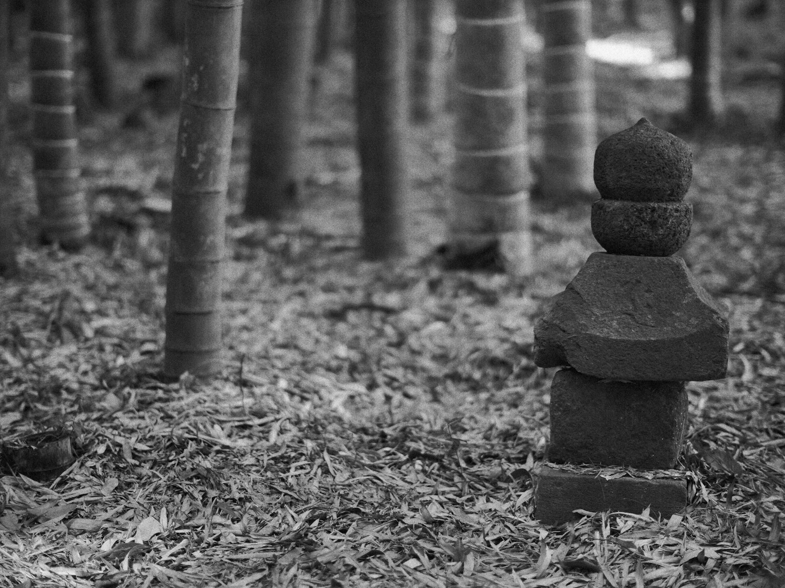 Steinlaterne in einem schwarz-weißen Wald mit Bambusbäumen