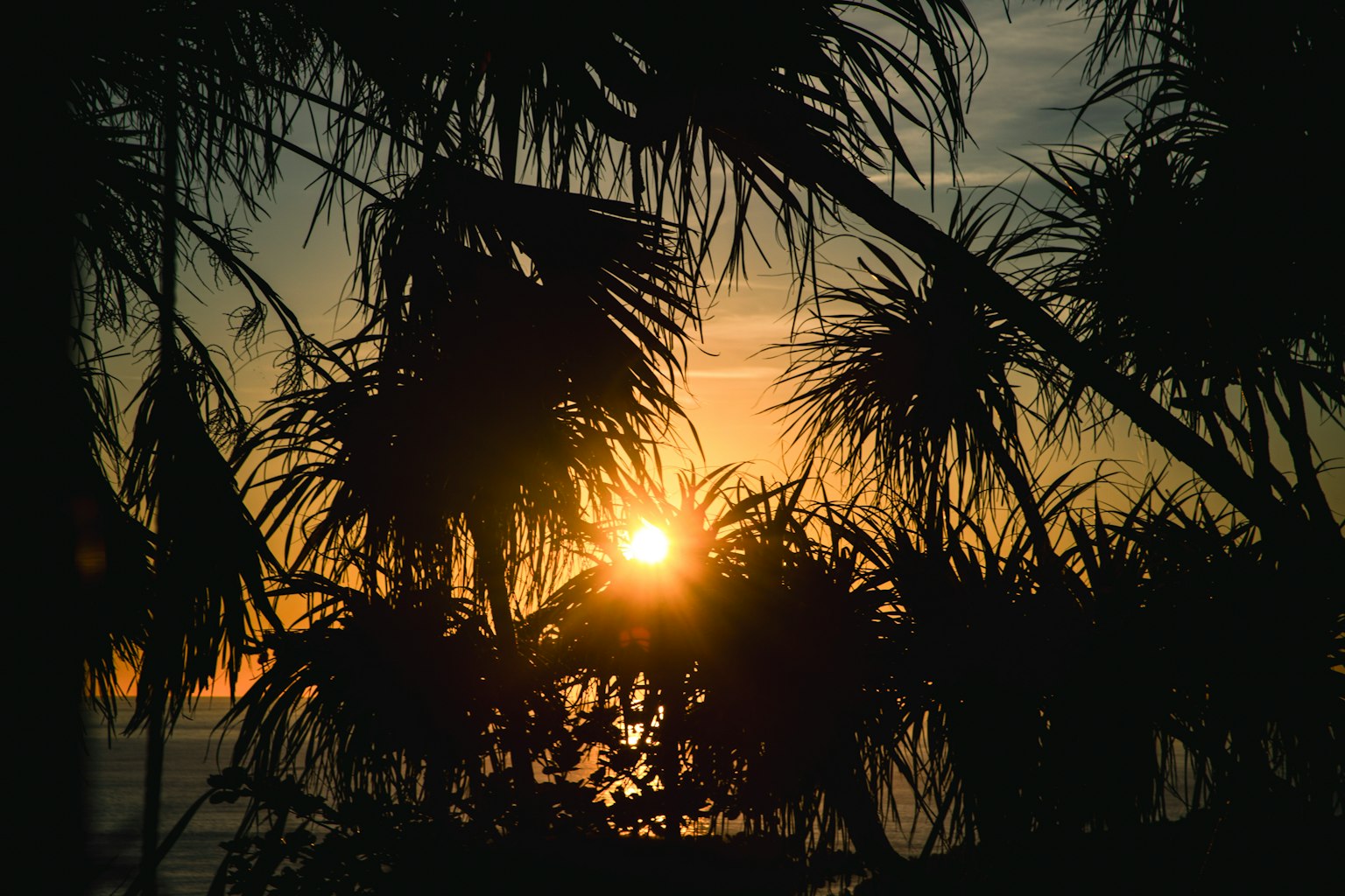 Silueta de palmeras contra un atardecer sobre el océano