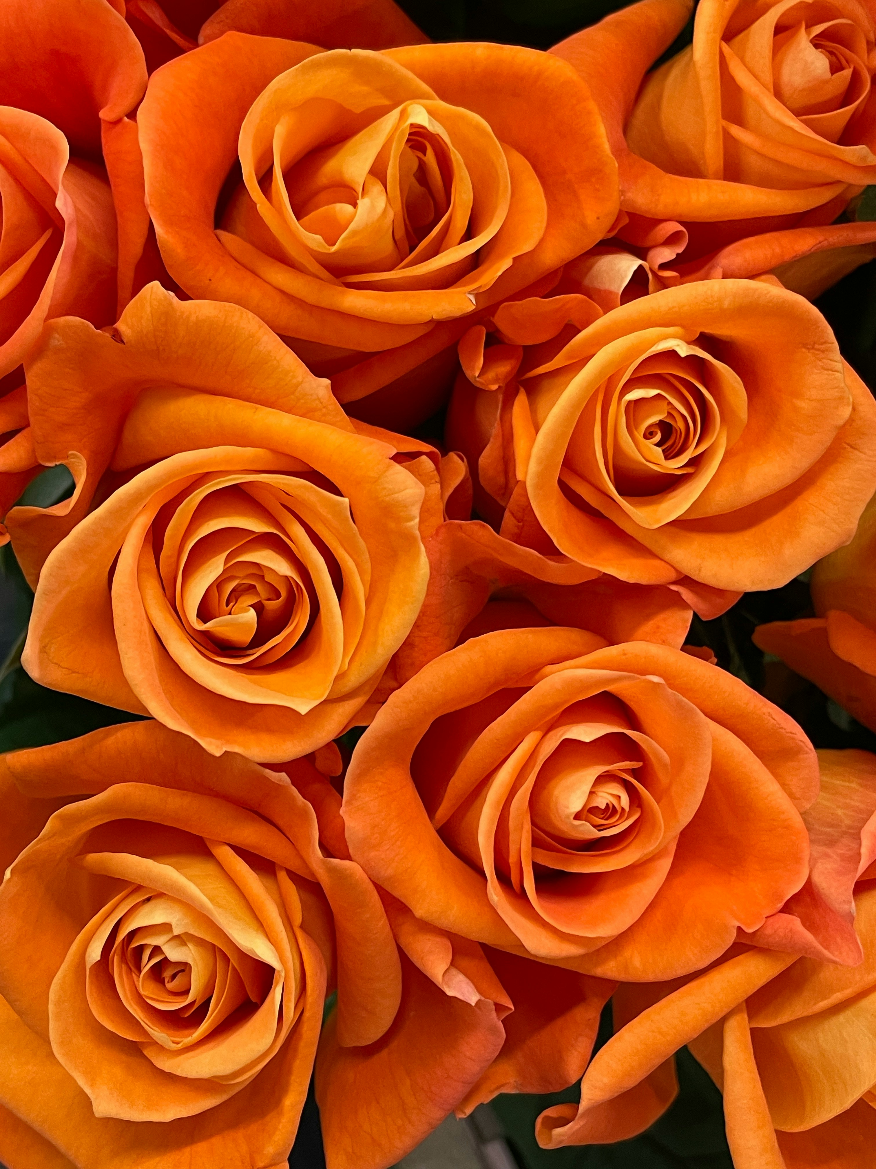 オレンジ色のバラの花束のクローズアップ