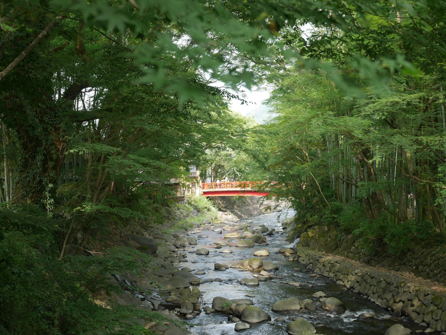 被綠色樹木環繞的小溪和紅色橋的風景