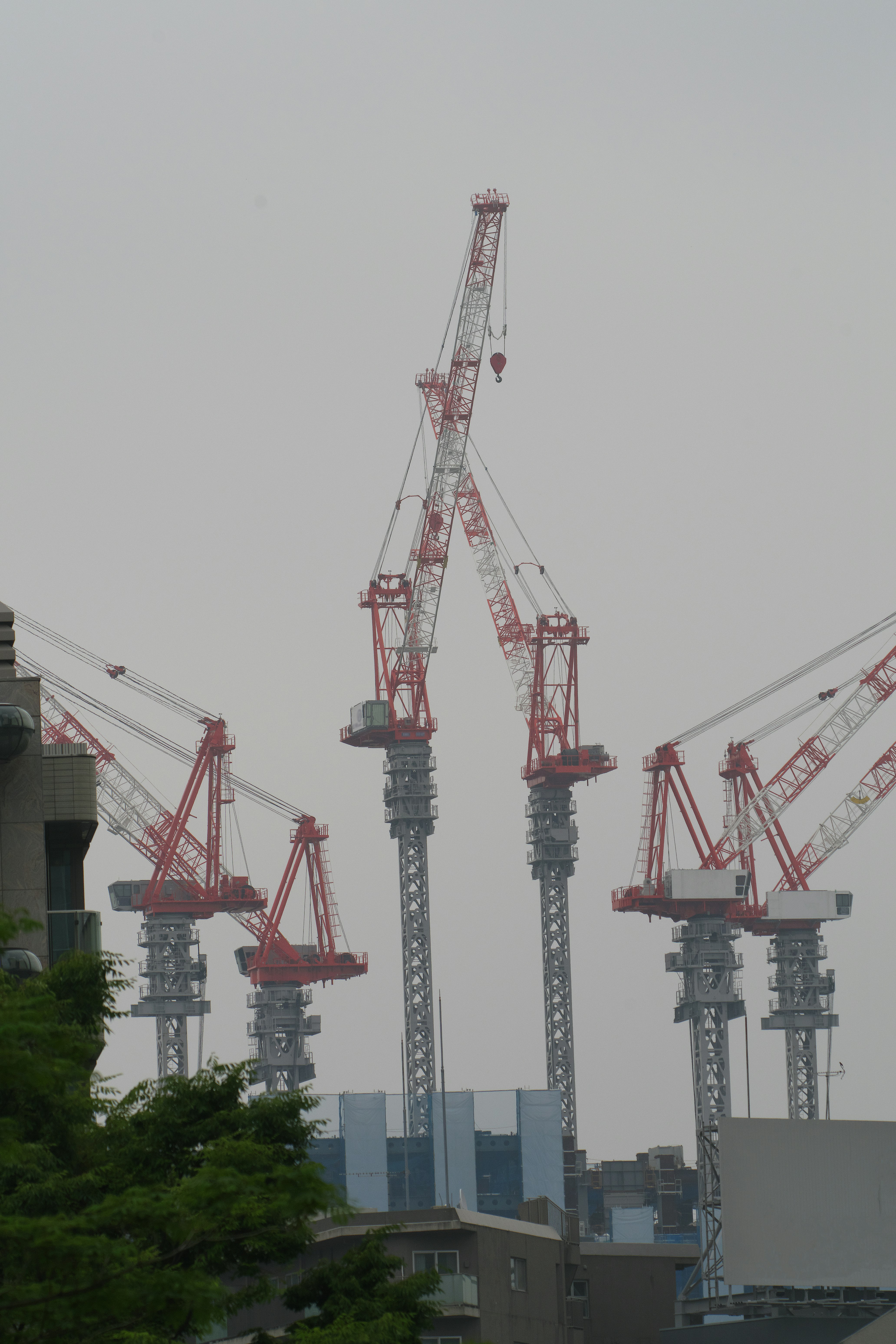 cảnh công trường đô thị với các cẩu xếp hàng