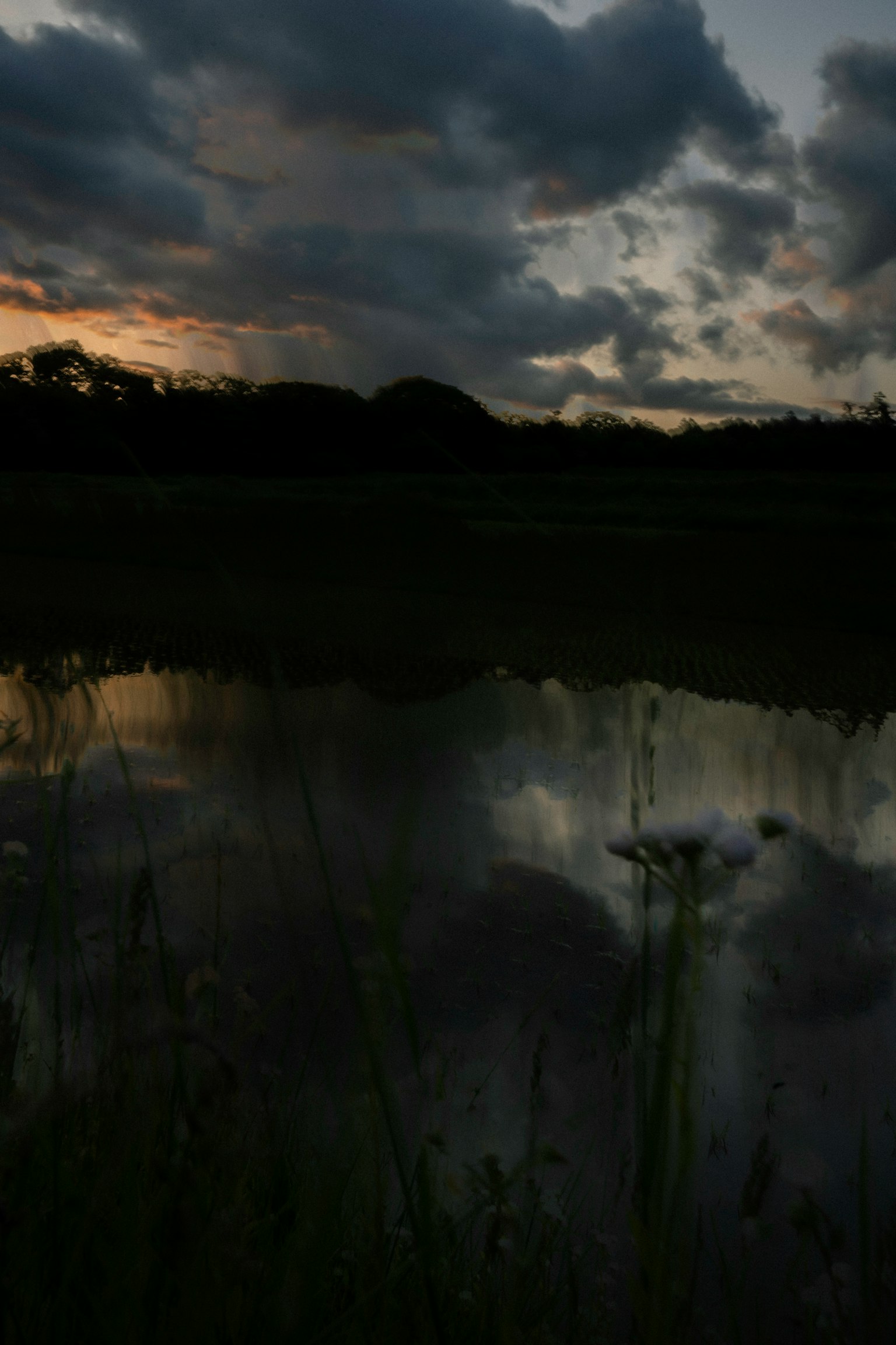photo-YMJX31ibA69P5mwftjiY-image