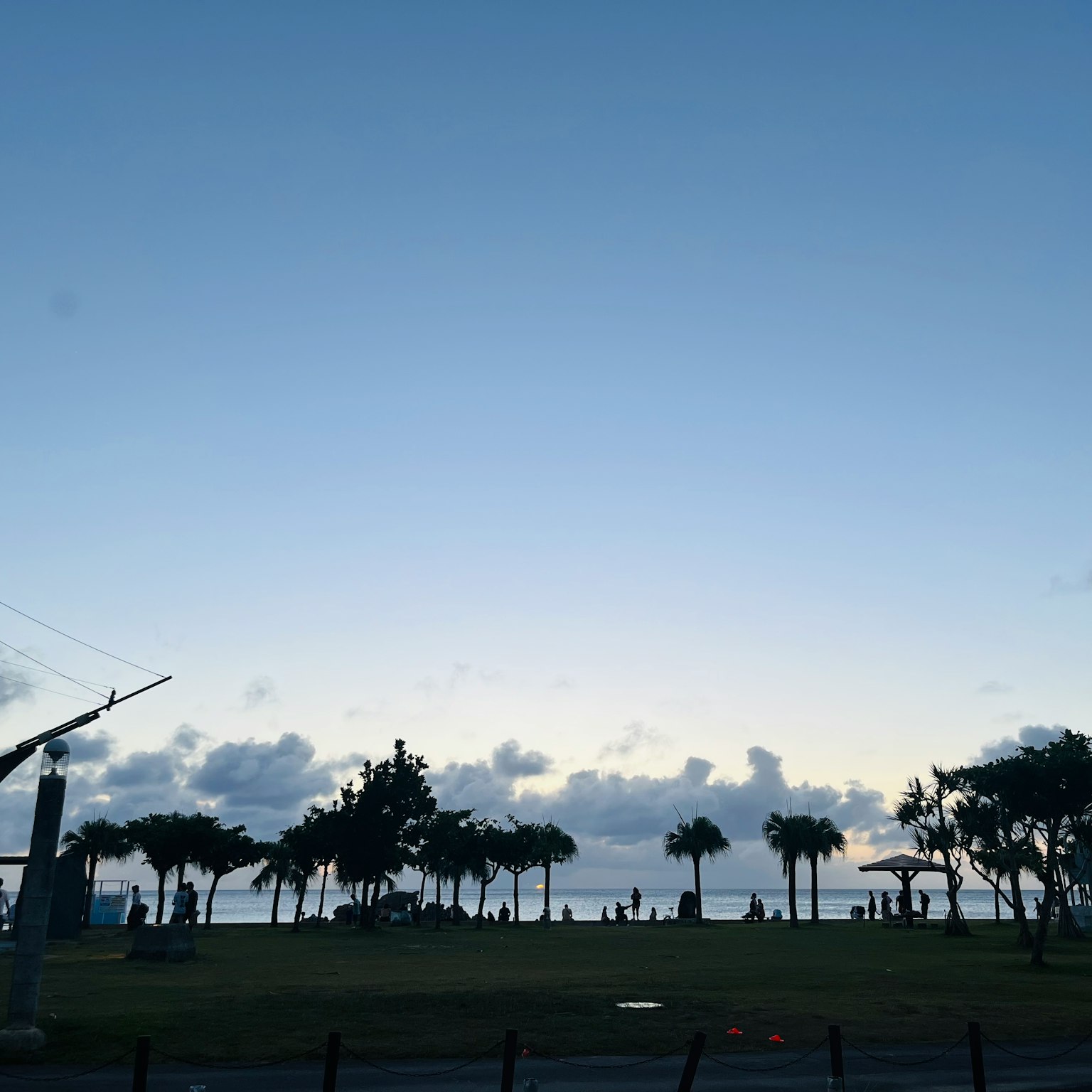 海邊公園景觀藍天雲朵和棕櫚樹