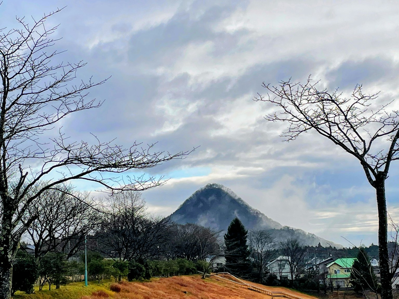 Vista di montagna con alberi spogli e cielo nuvoloso