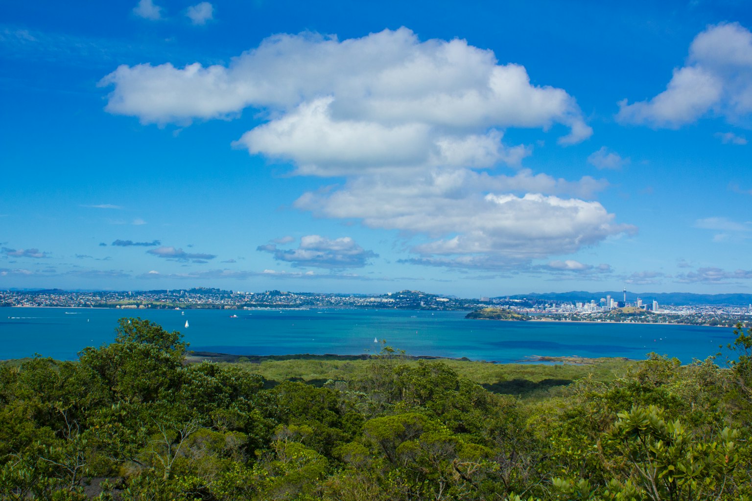 photo-YNBDQSjz7smb50sap8jH-image