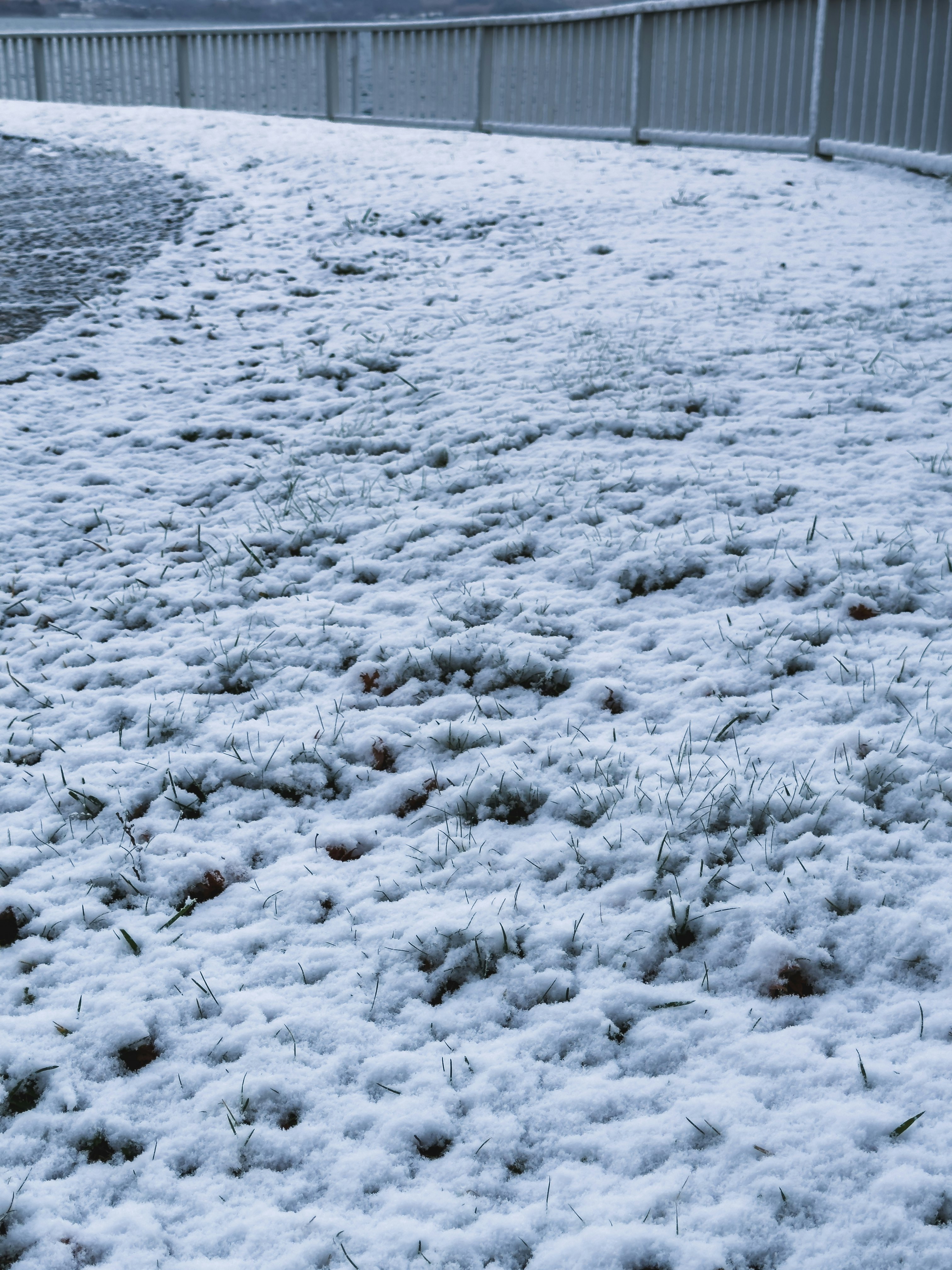 雪の積もった北海道洞爺湖畔の芝生