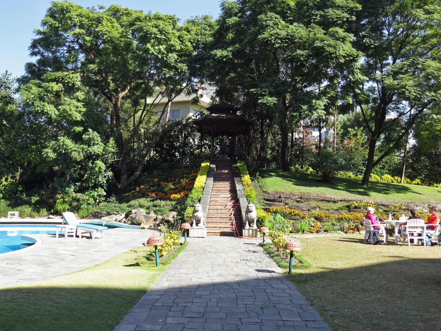 郁郁葱葱的花园，泳池和通往房屋的道路，四周环绕着树木