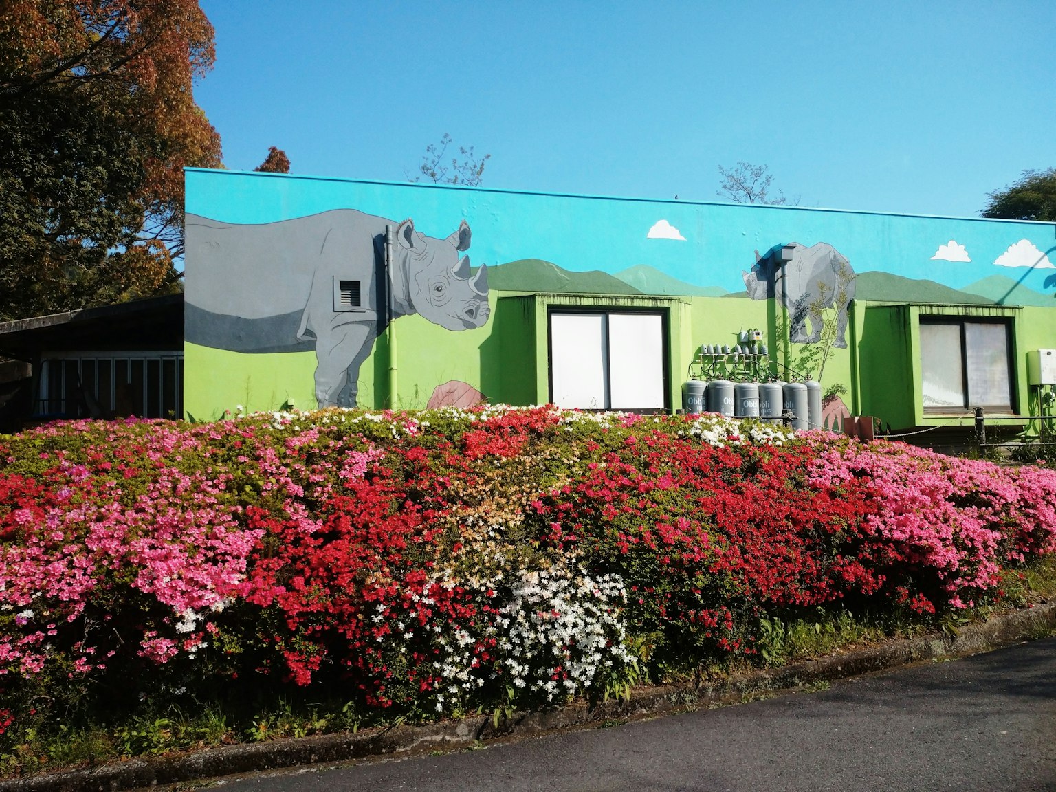 Ein bunter Wandmalerei von Nashörnern an einem Gebäude umgeben von lebhaften Blumen