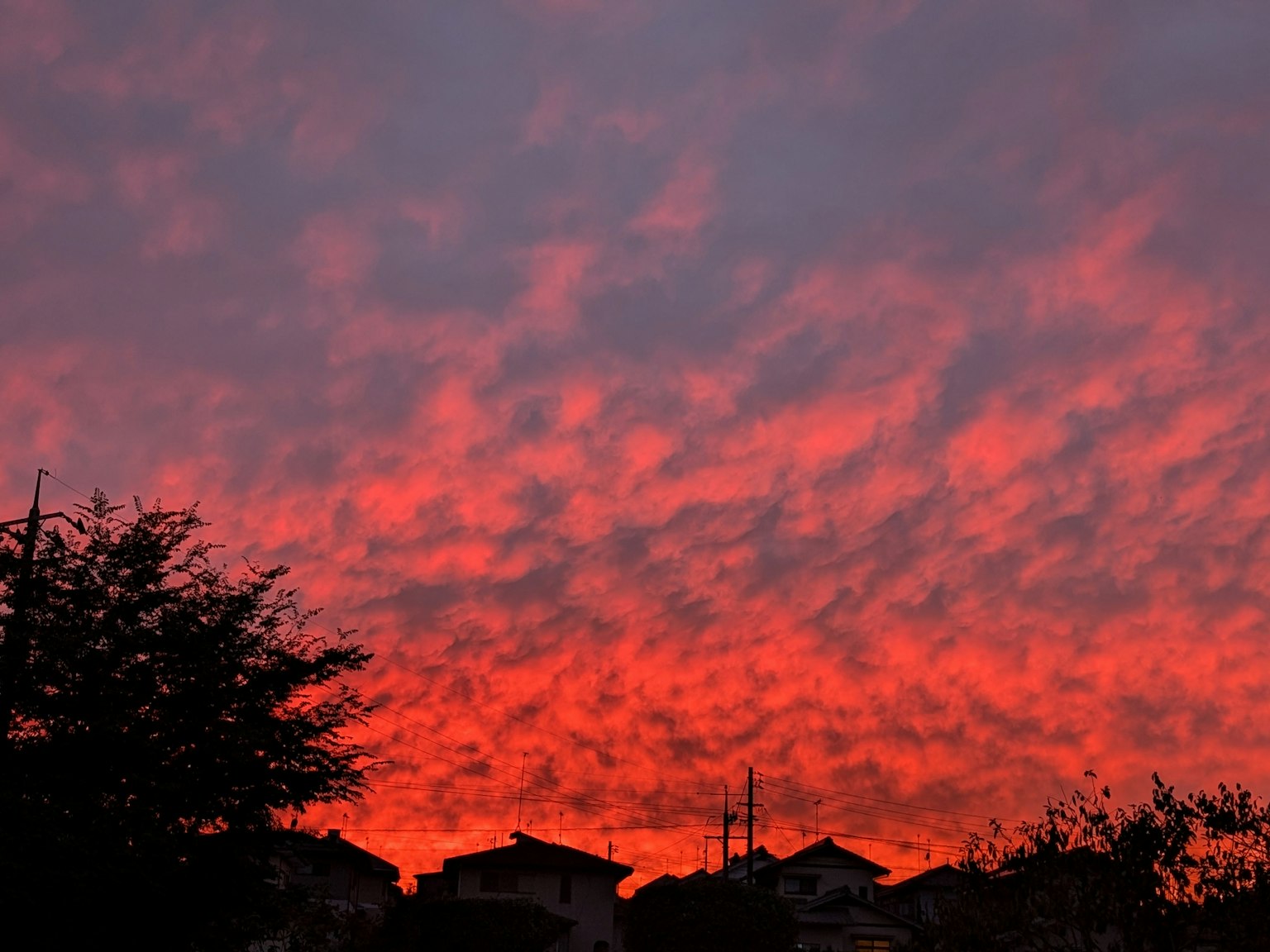 生動的日落與紅色雲彩和房屋輪廓