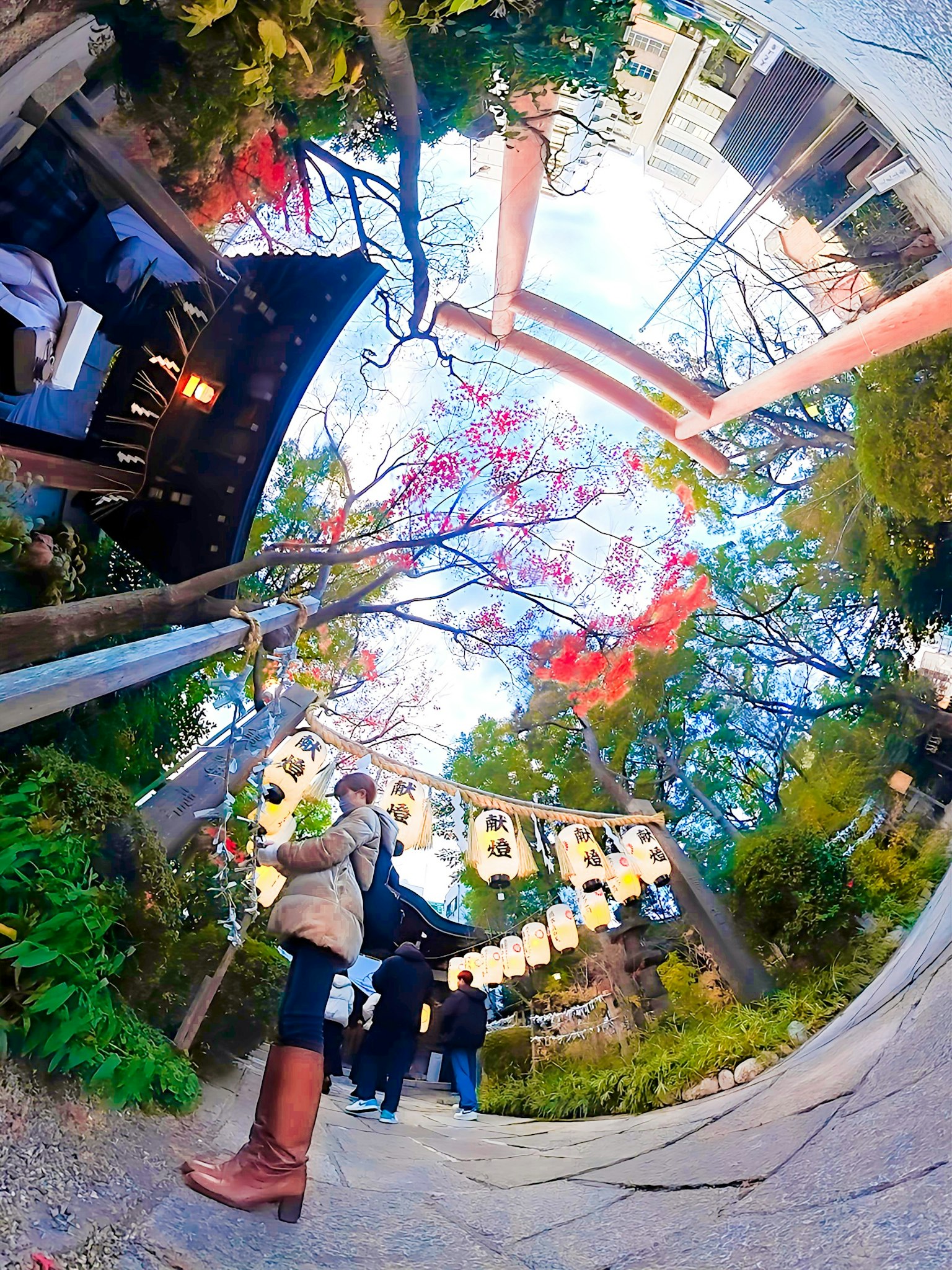 A scenic view of a Japanese shrine with colorful lanterns and autumn foliage