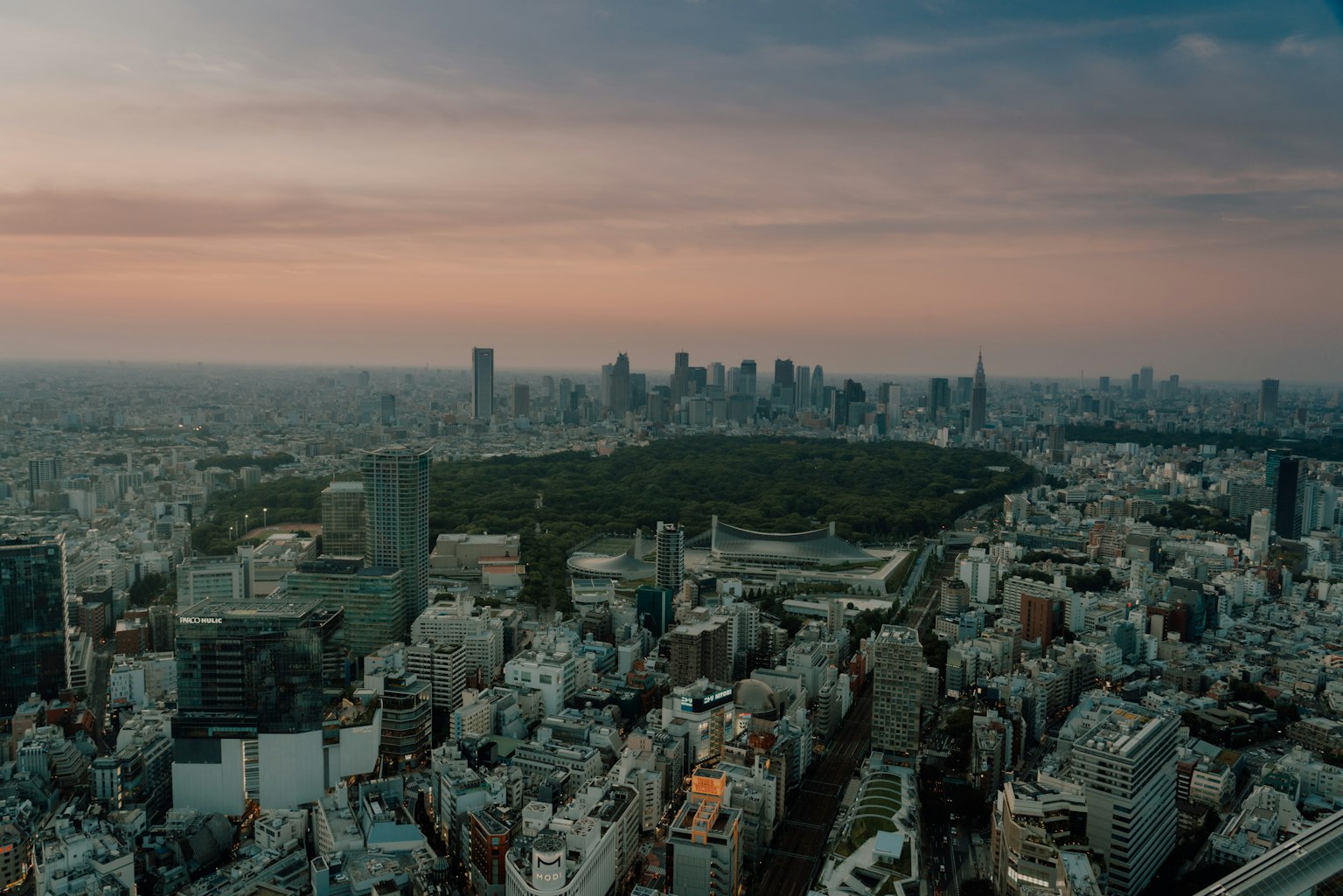 東京日落時的全景視圖展示城市建築和中央公園
