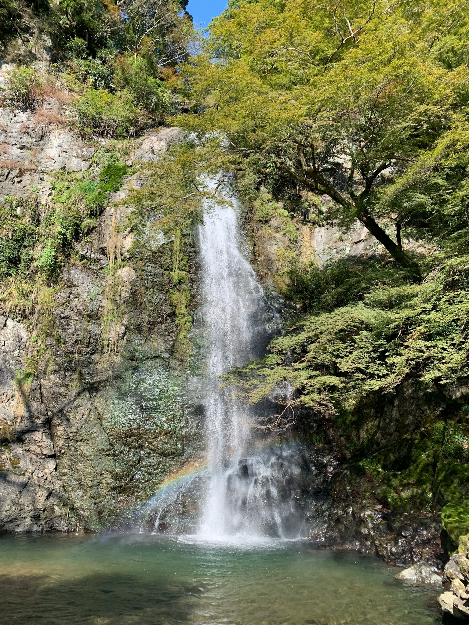 Une belle cascade s'écoulant au milieu d'une végétation luxuriante