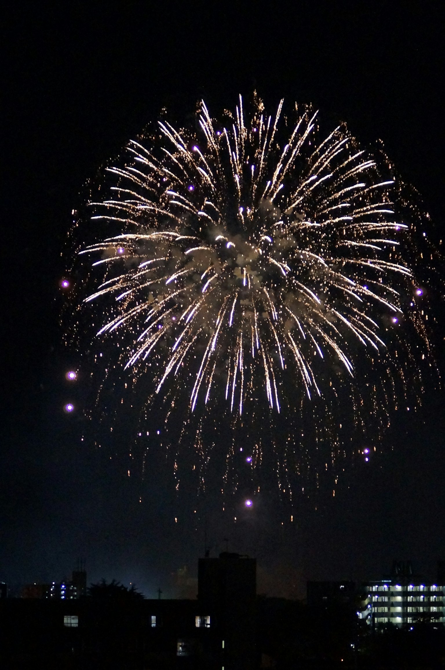Spettacolo di fuochi d'artificio vibranti che illuminano il cielo notturno