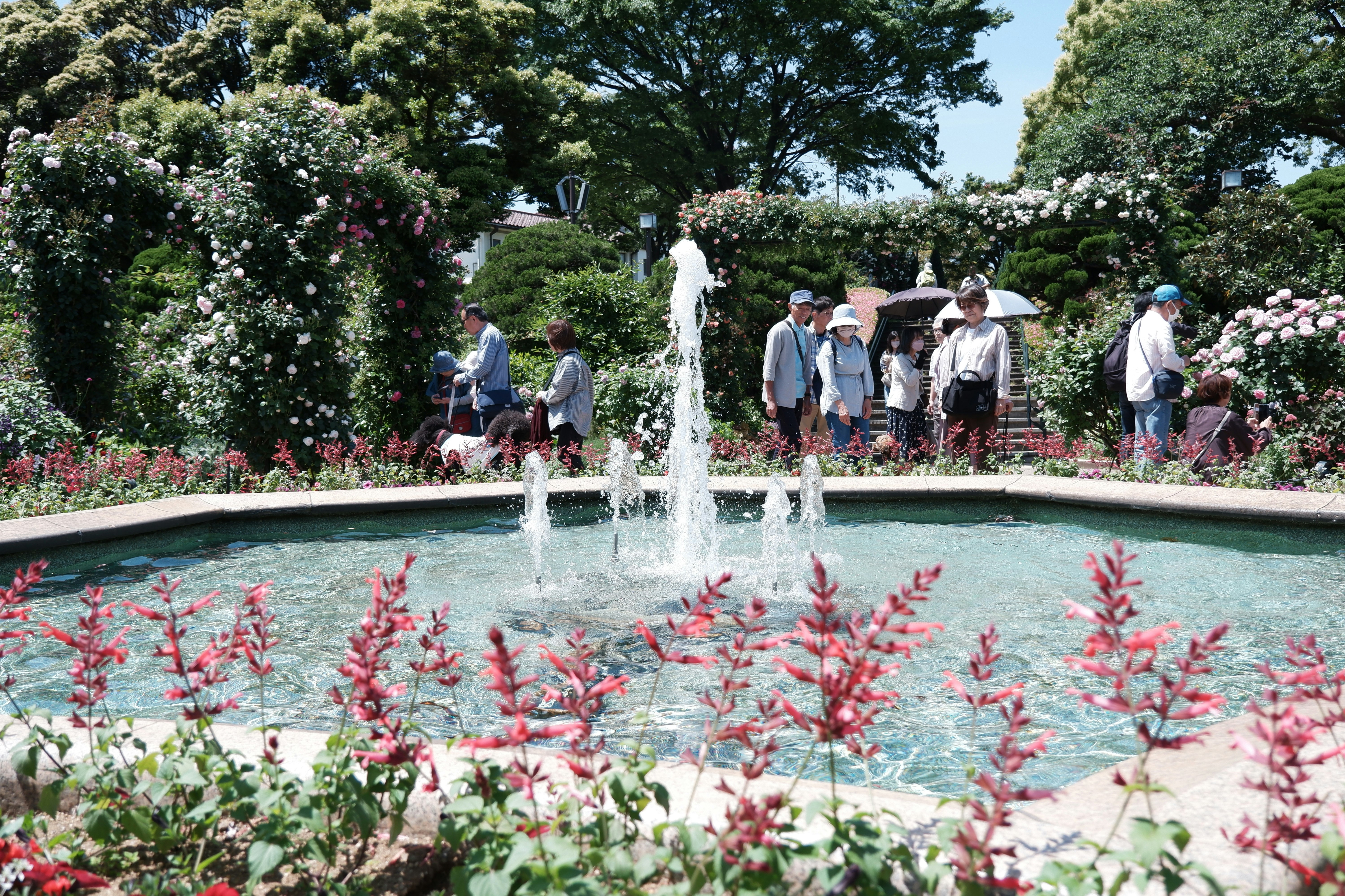 噴水のある花壇で散策する人々の庭園風景