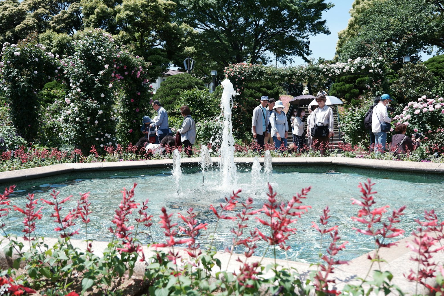 Turisti che godono di un bellissimo giardino con una fontana circondata da fiori colorati