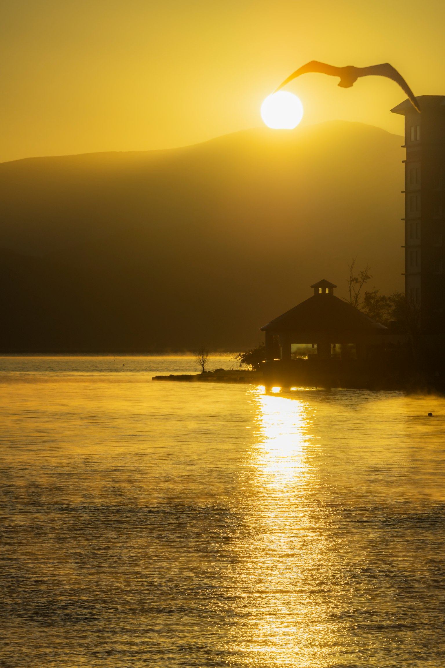 夕日が水面に反射する美しい風景 鳥が飛び立つシルエットと山々の背景