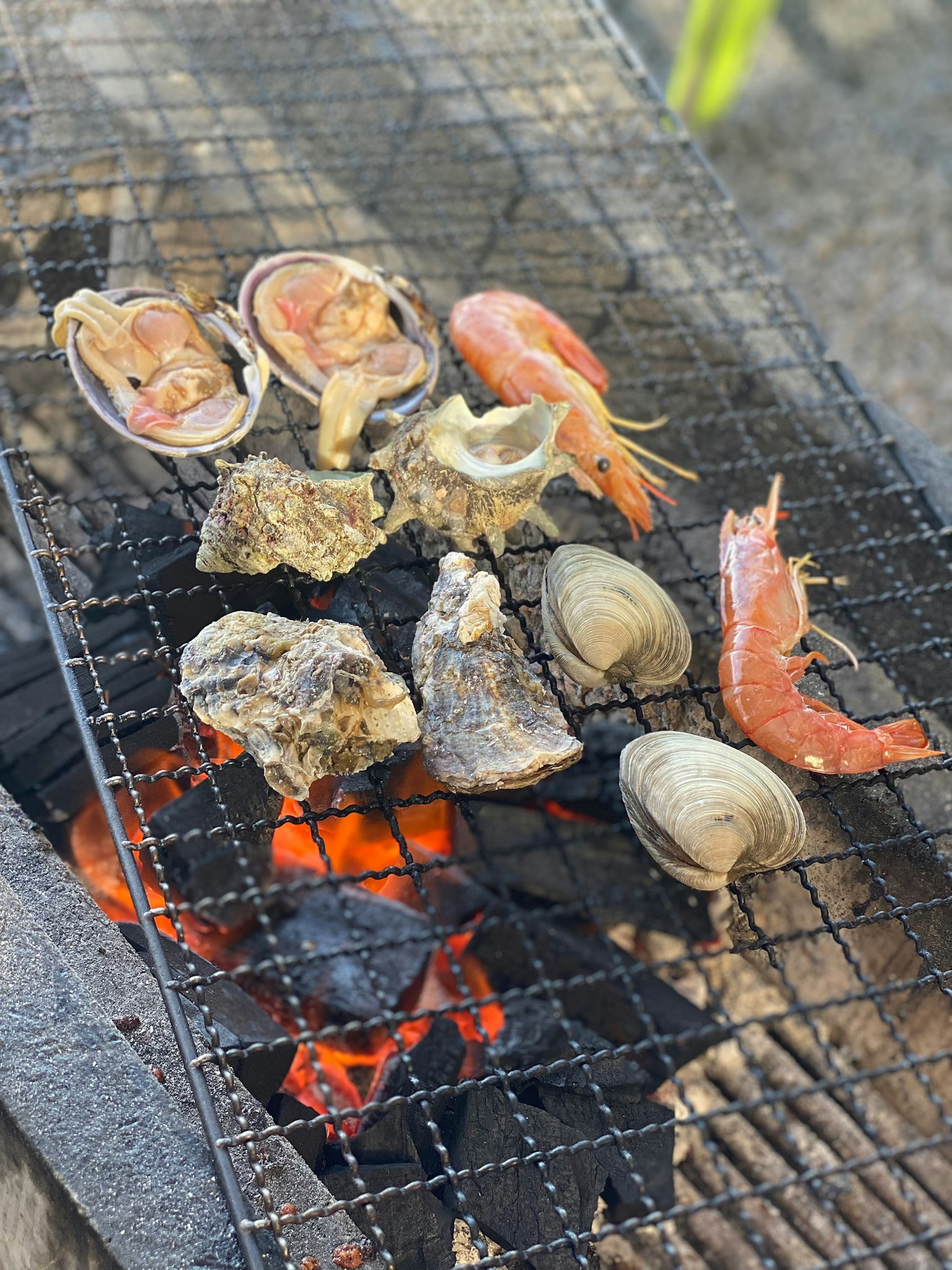 Gegrillte Muscheln und Garnelen auf einem Grill angeordnet