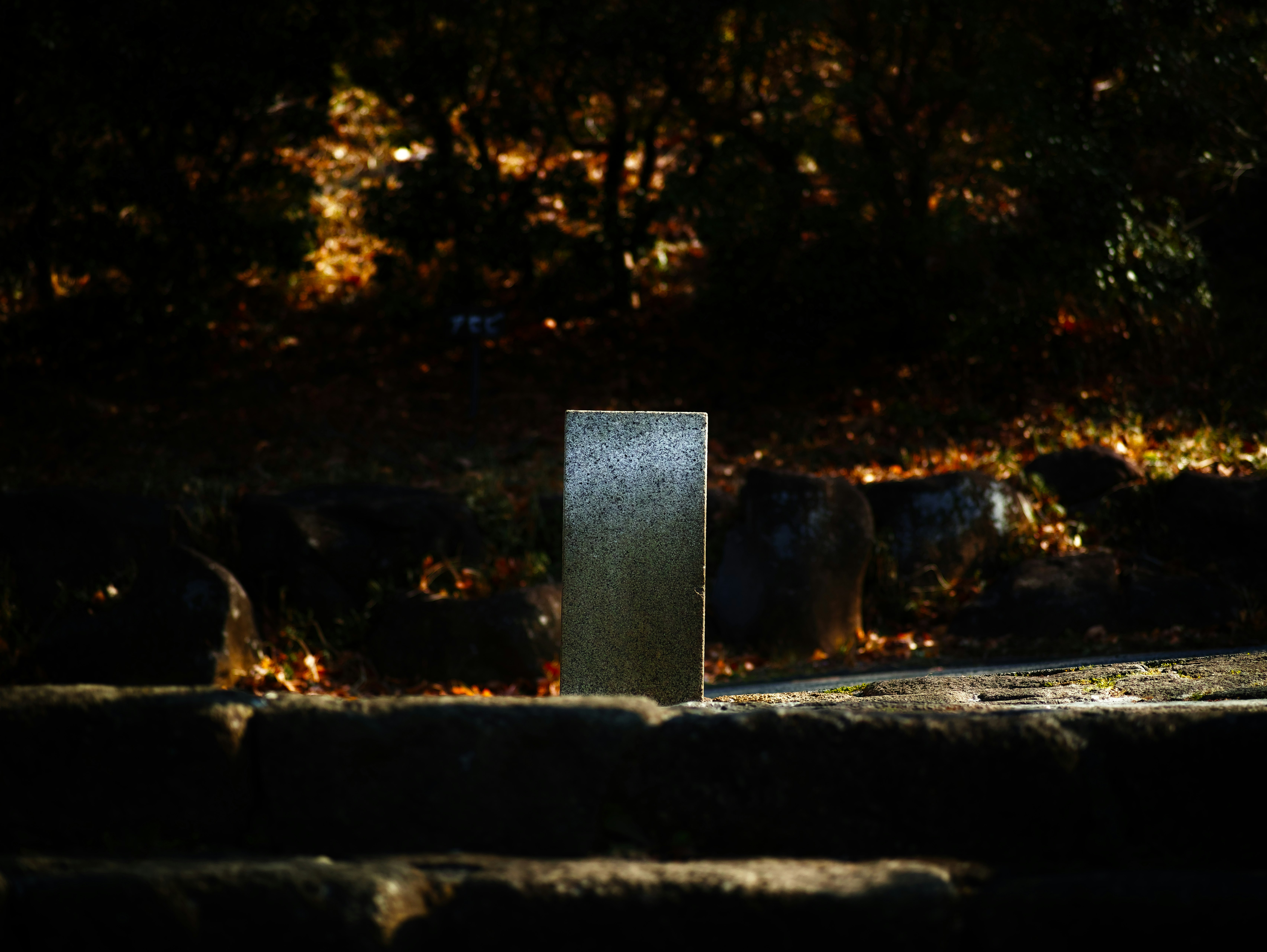 beleuchtetes Steindenkmal in einem nächtlichen Park