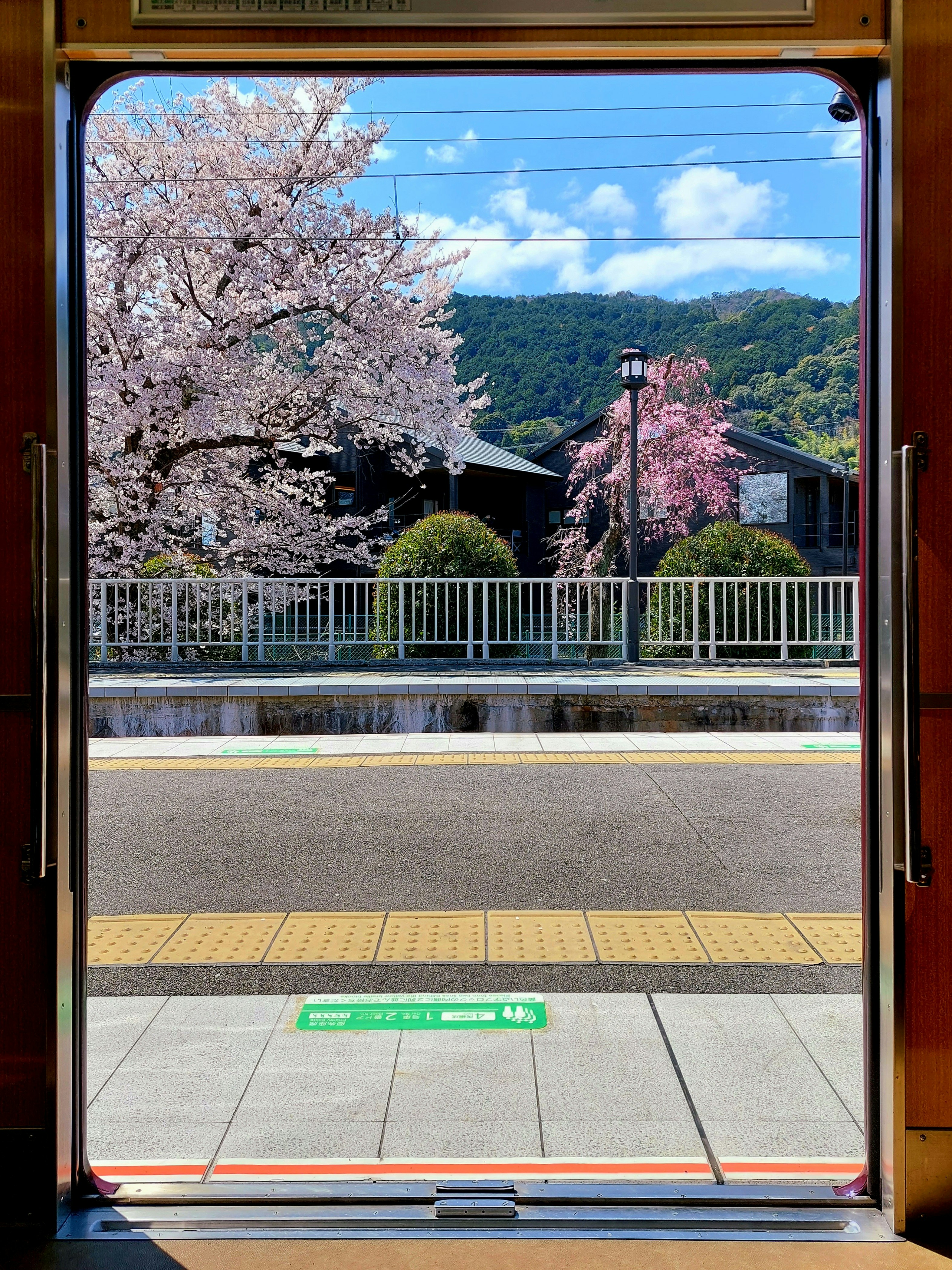 从像画框一样的窗户里看出去的阪急嵐山站樱花与站台