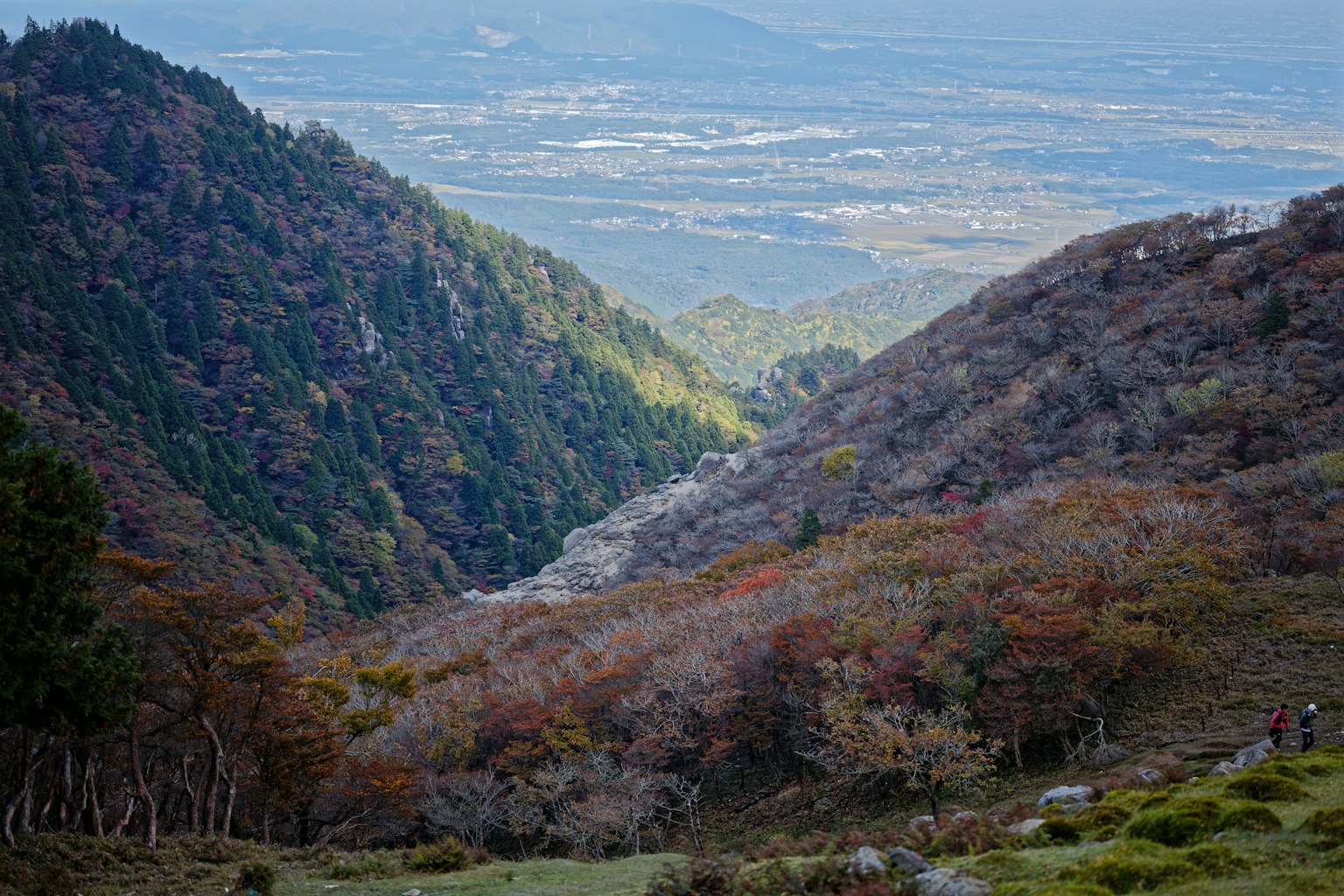 ダークグレーの背景にシンプルなデザイン
