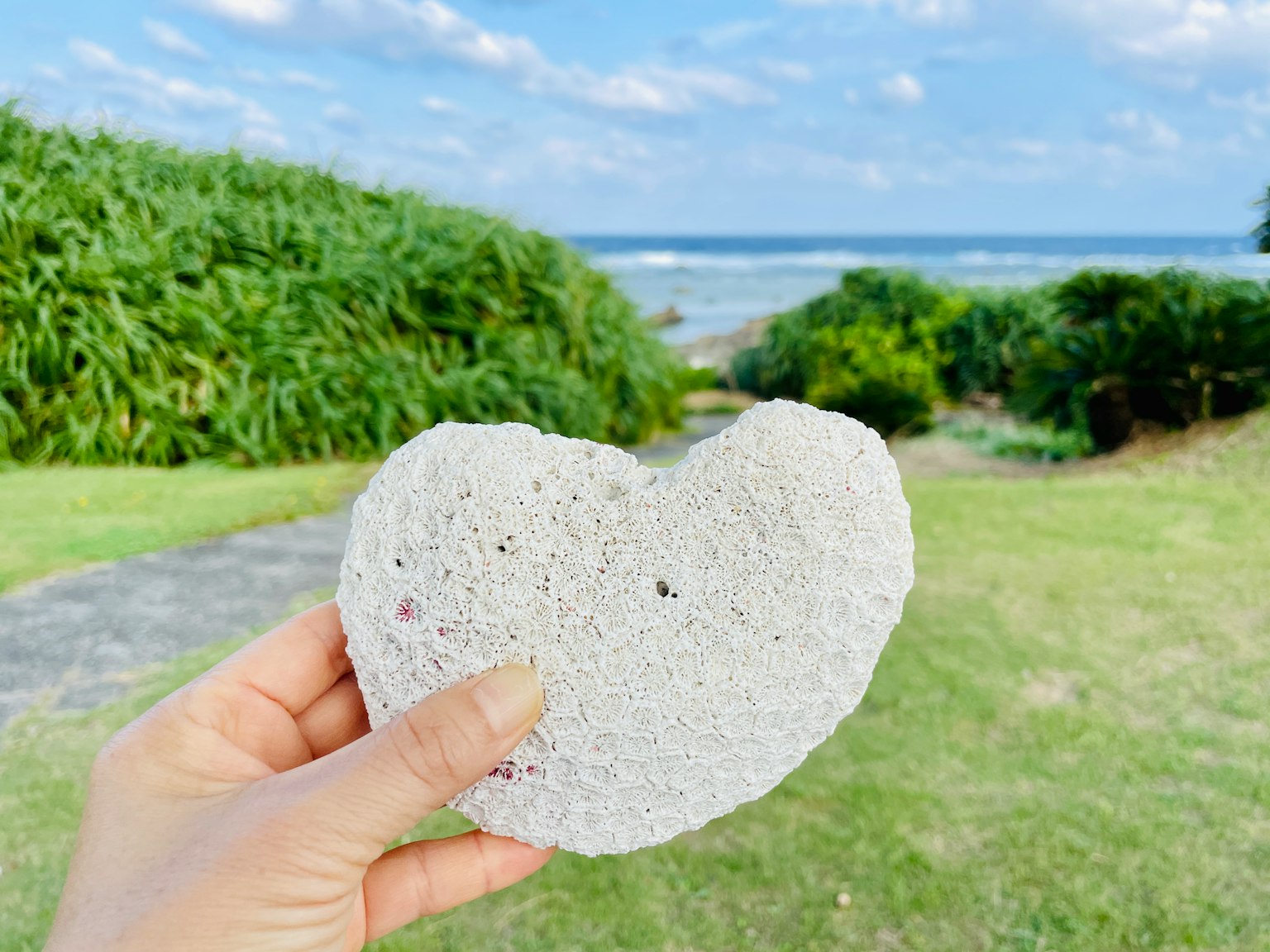 Hand holding a heart-shaped white sponge with ocean in the background