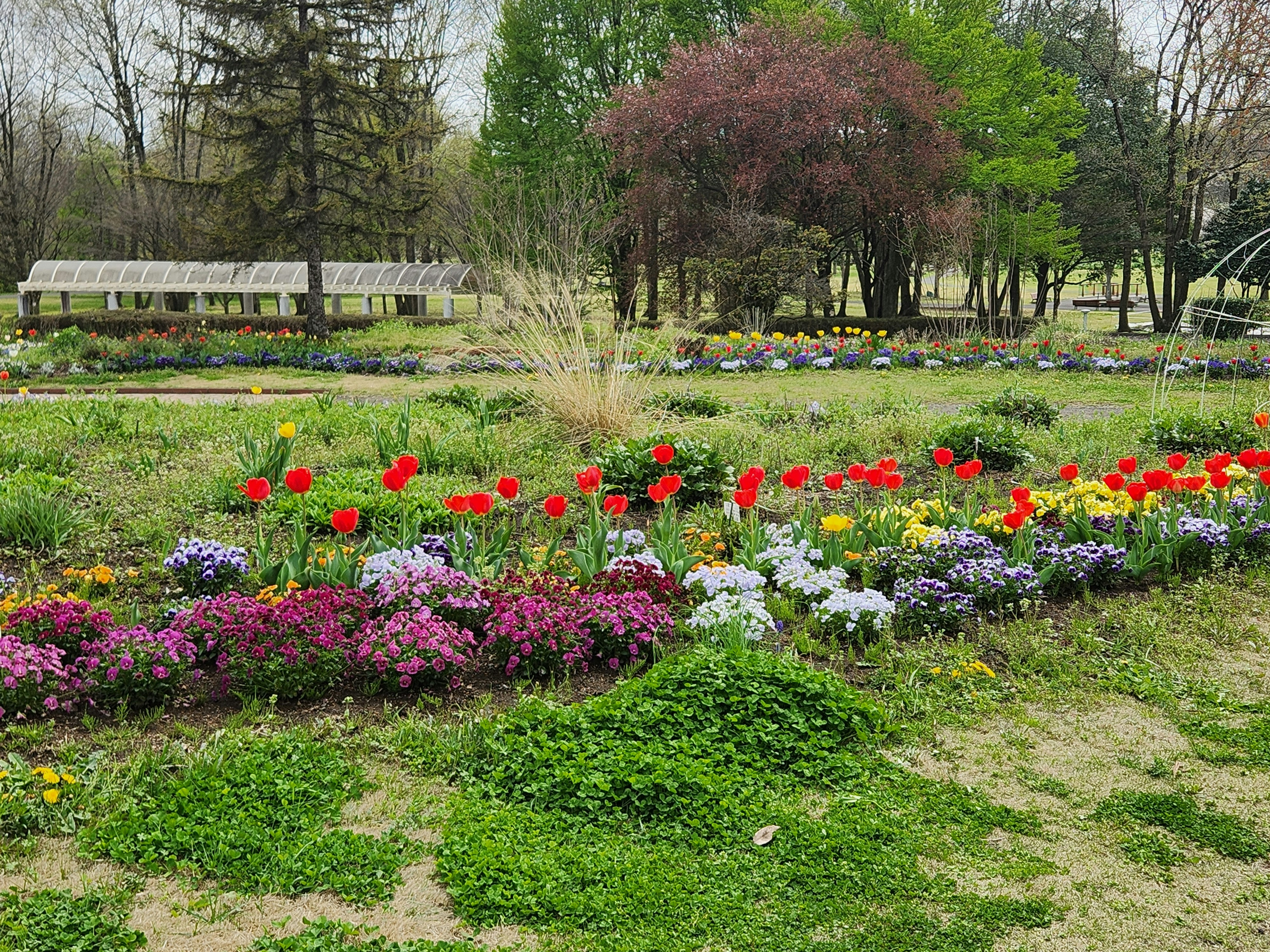花壇の色とりどりの花が広がる庭園の景色