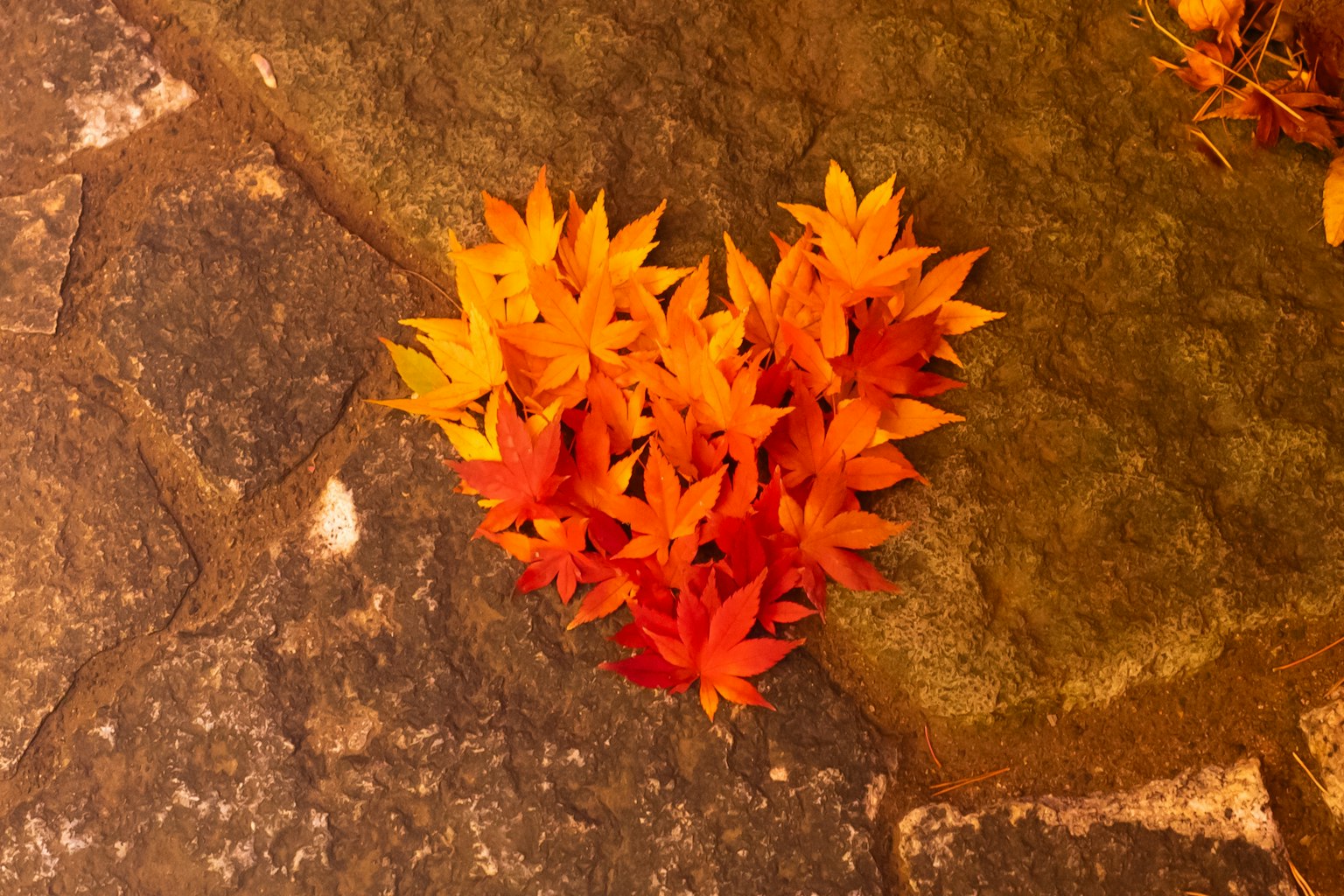 石頭表面上的紅色和橙色葉子的心形排列