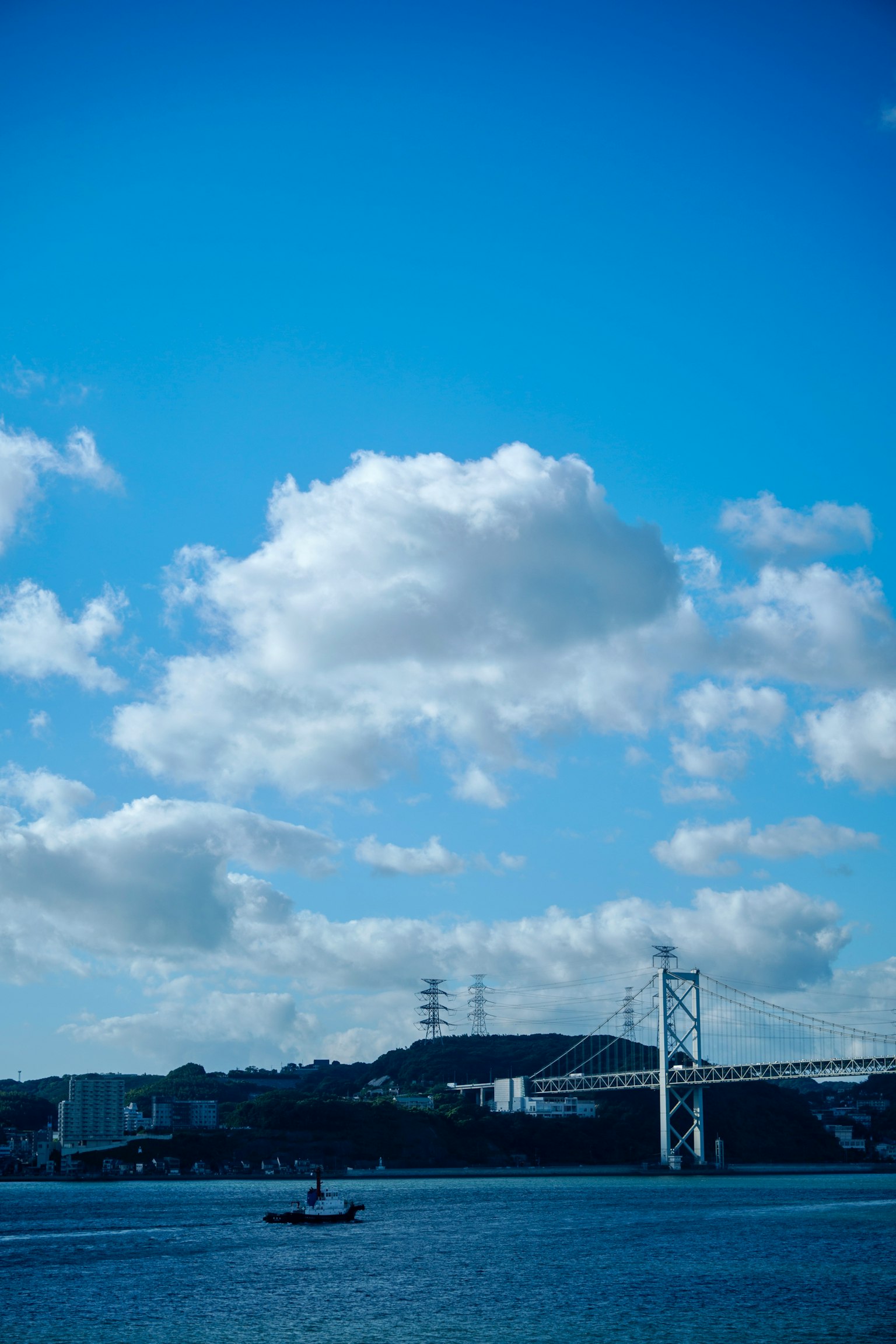 photo-YTBzWNI3vh4SpACd0Vy4-image