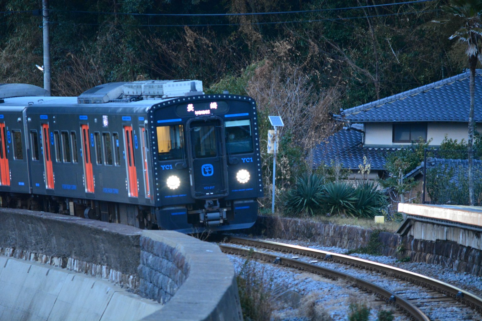 Treno blu che curva con case visibili sullo sfondo