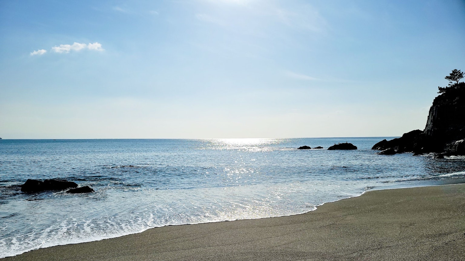 Vue panoramique de la plage avec océan et ciel bleus