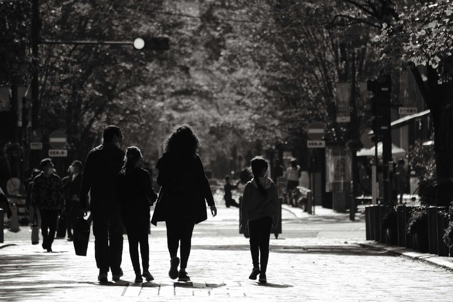 Silhouetten von Menschen, die in einer baumgesäumten Straße gehen
