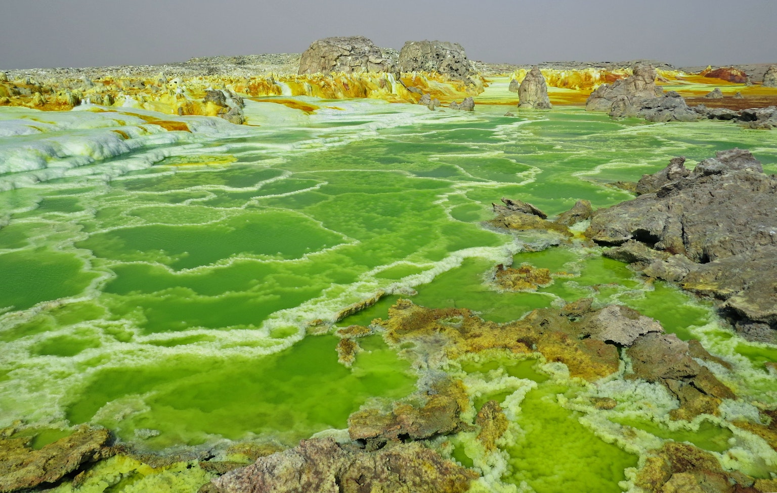 Vibrant green salt lake landscape in the Danakil Depression Ethiopia