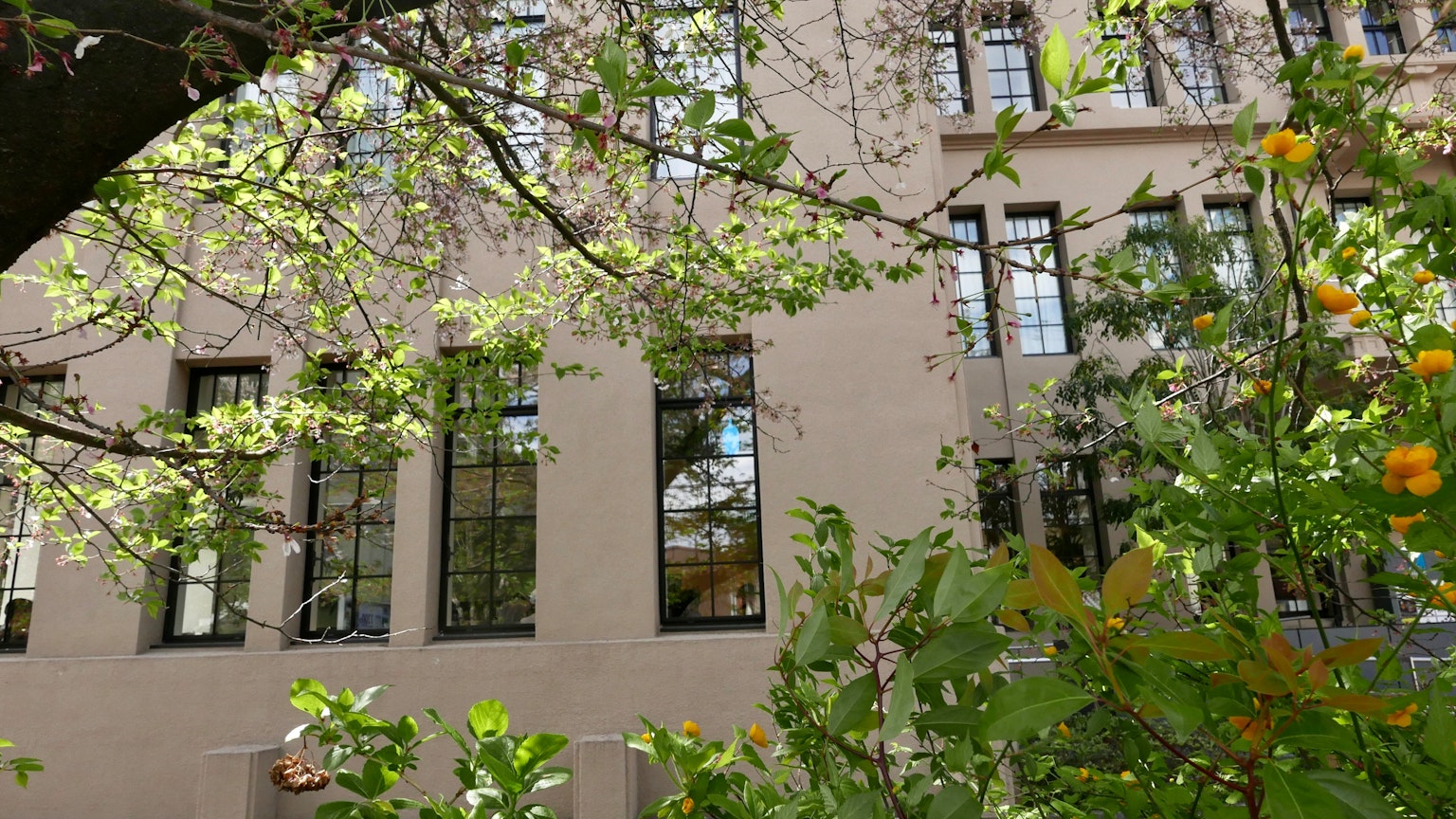 Exterior de un edificio moderno rodeado de hojas verdes y flores