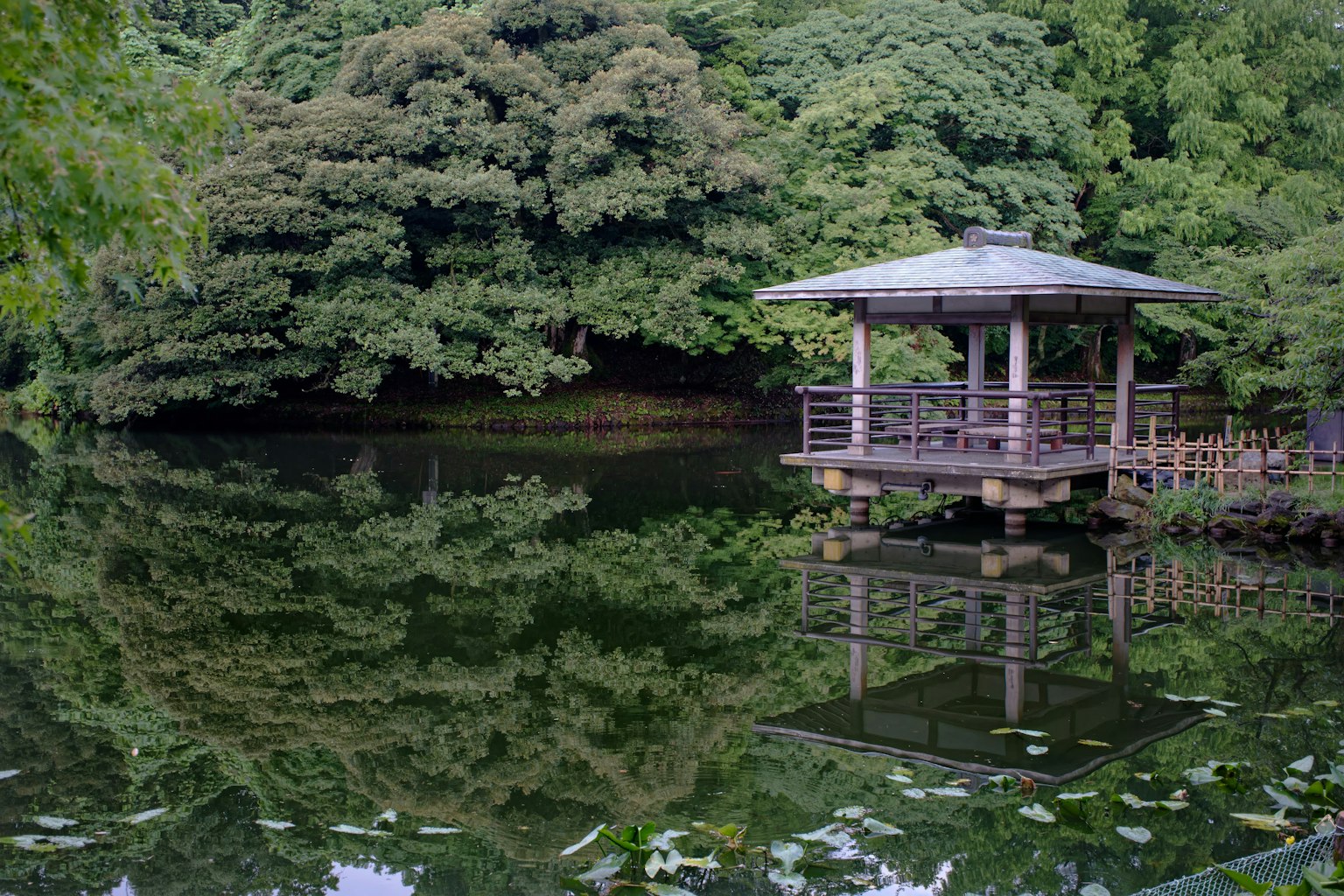 Un pavillon serein au bord d'un étang avec des reflets dans l'eau