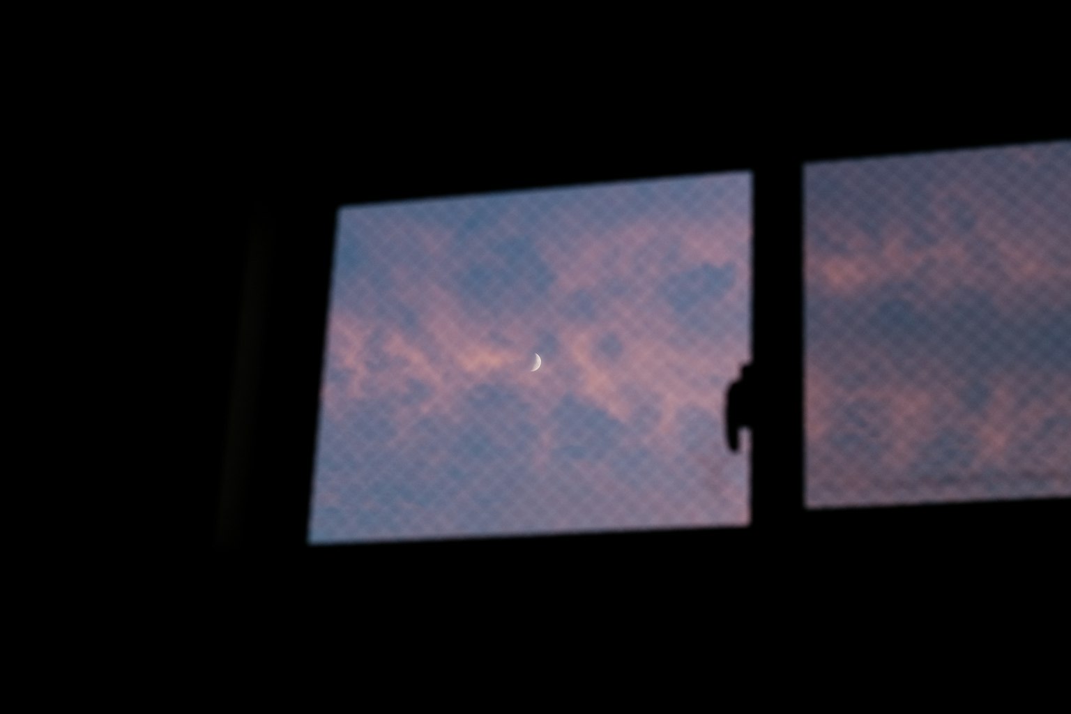photo-YUolRV7IWfDYm0zPzDkT-image