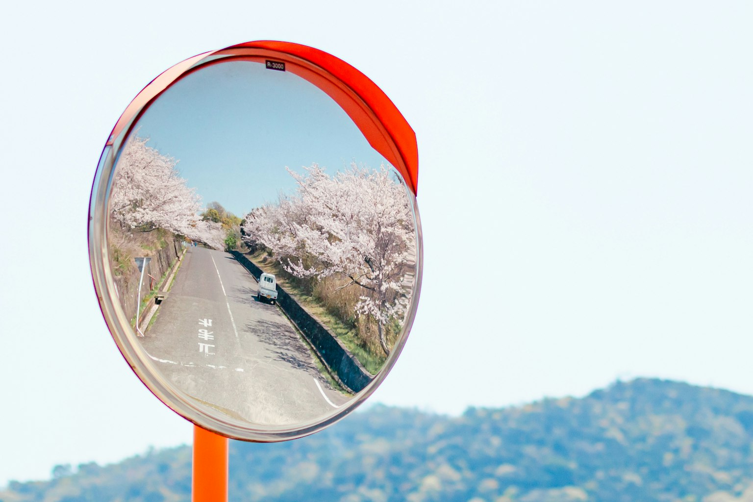 Specchio rosso che riflette una strada fiancheggiata da ciliegi in fiore e montagne