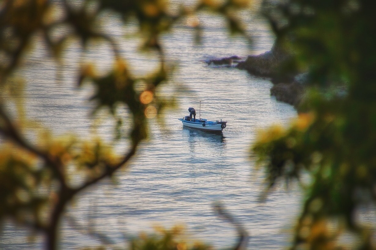 木陰越しに沖合へ出る釣り船と釣り人のいる海