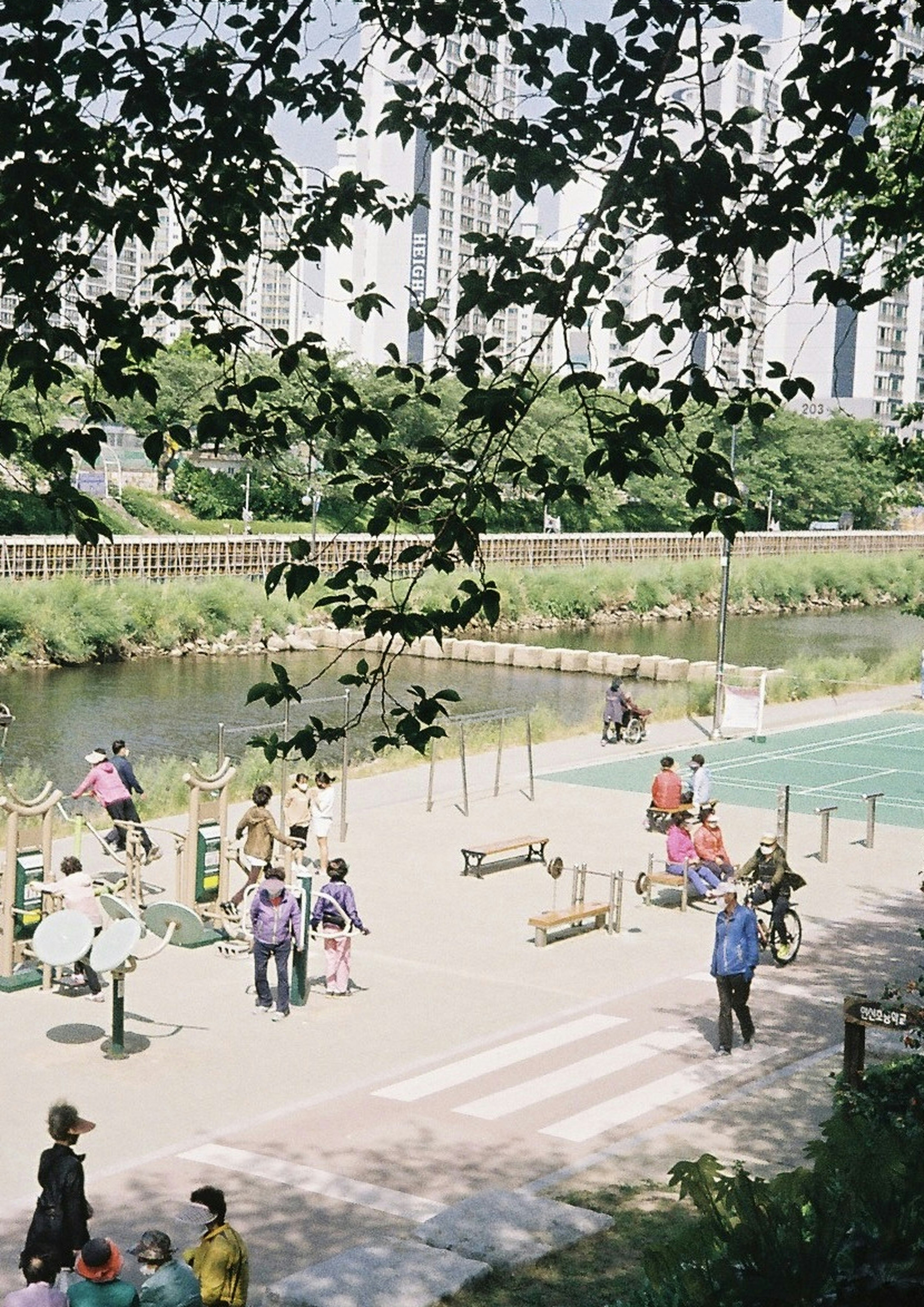川沿いの遊歩道で子どもたちが遊ぶ春の風景