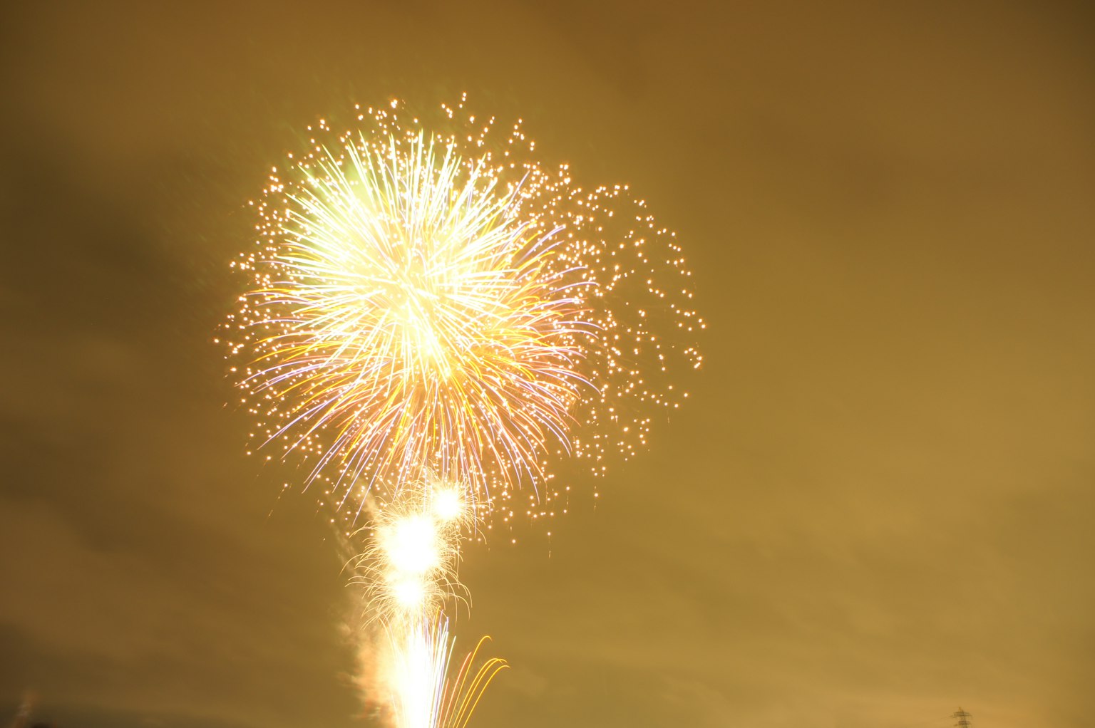Des feux d'artifice colorés éclatant dans le ciel nocturne