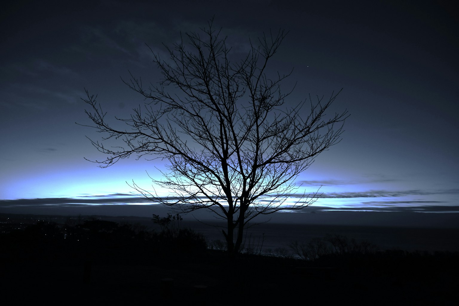 Ein einsamer Baum im Silhouetten gegen einen dunklen Himmel mit einem blauen Lichtverlauf