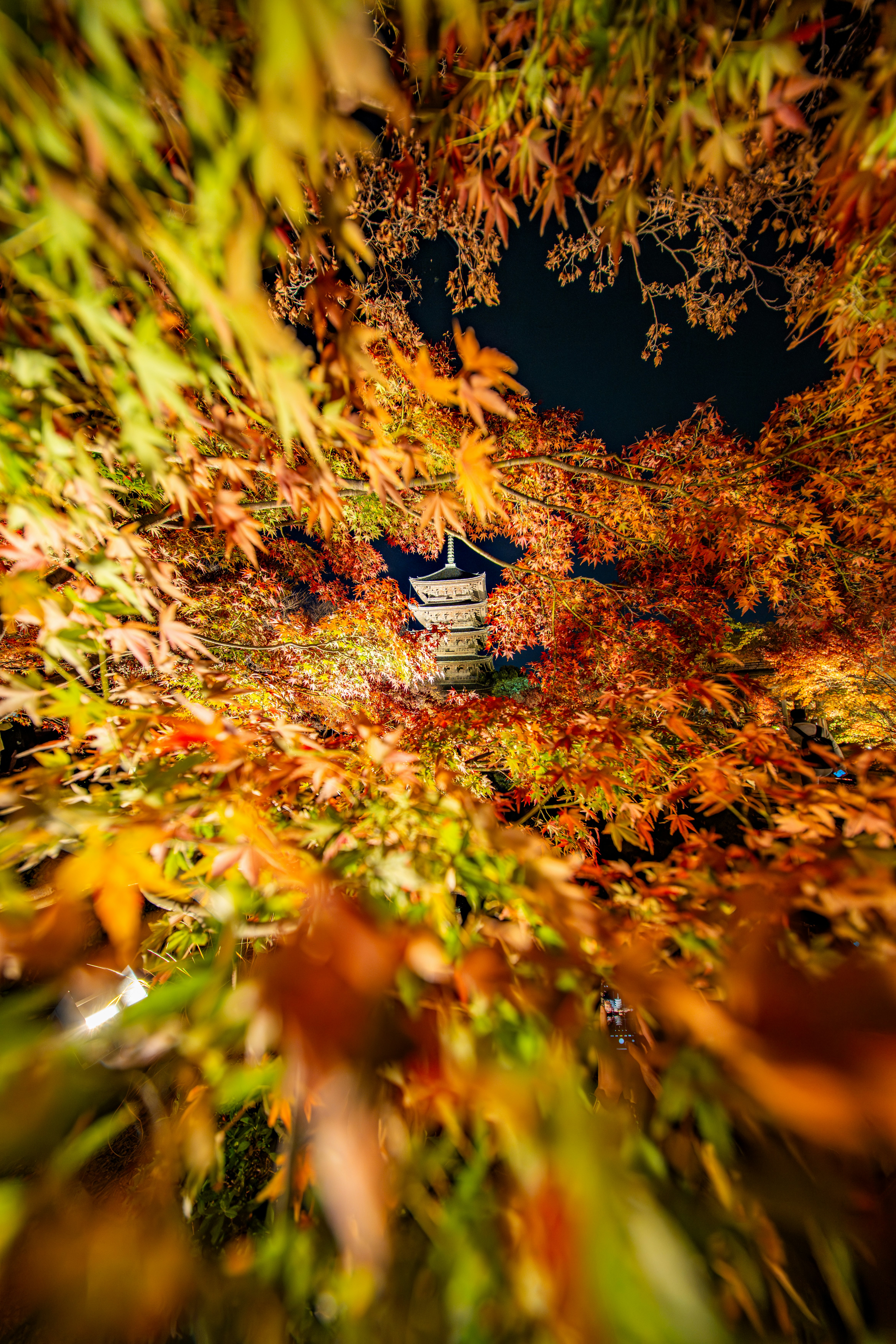 紅葉の落ち葉の小道に続く石段
