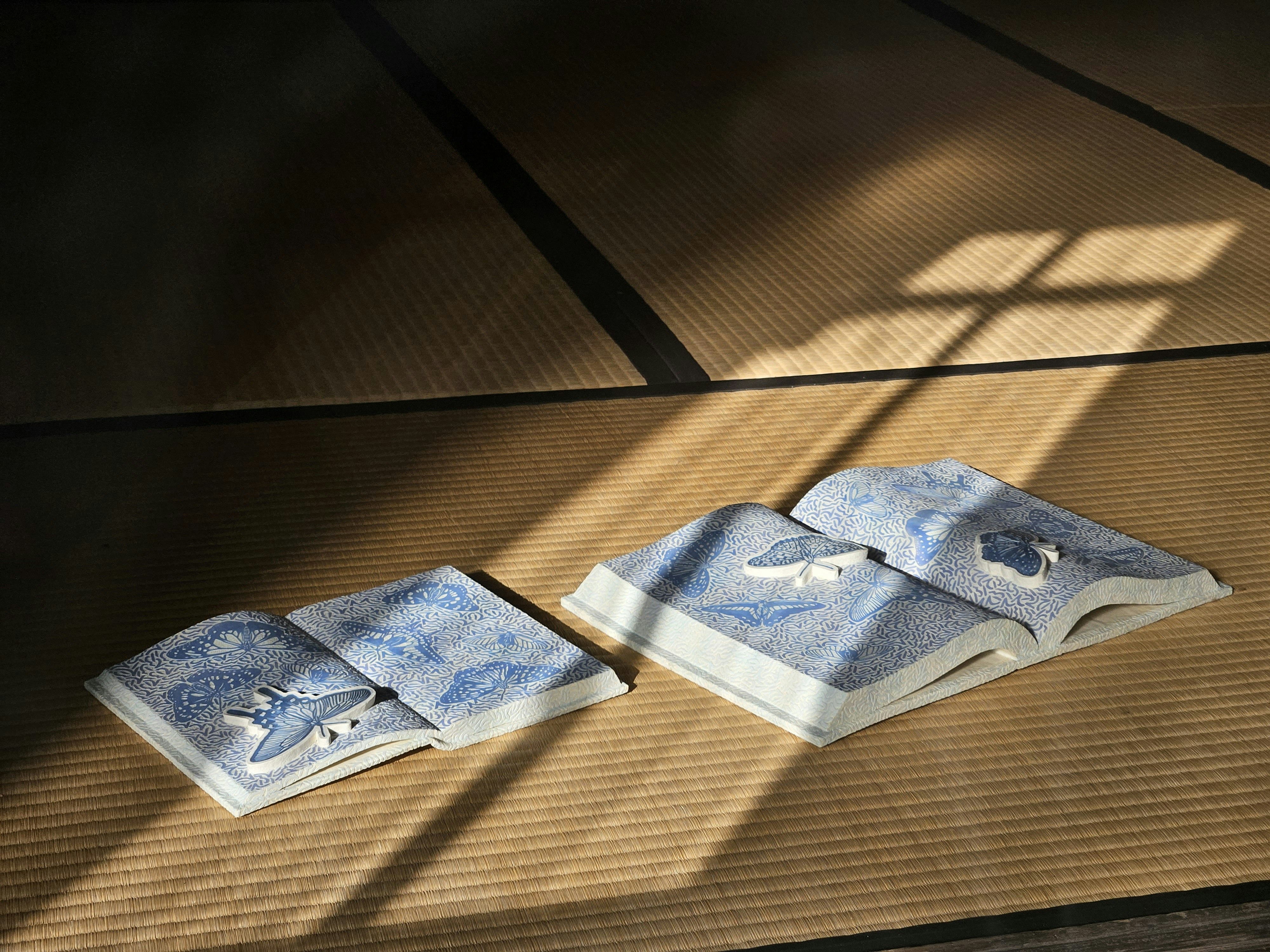 books for reading placed on tatami mats