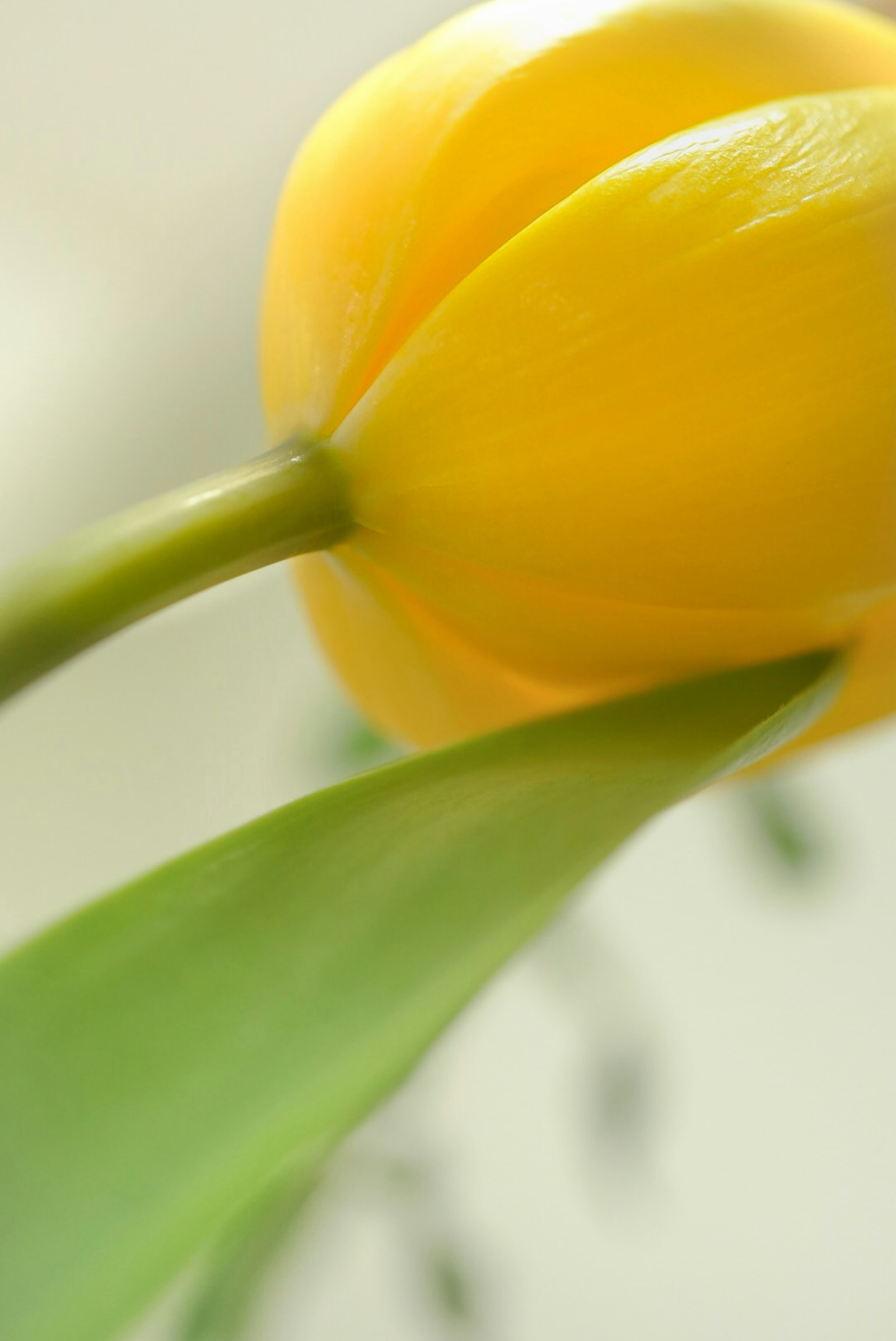 photo-YXKjFPJ34y5NBLYPfVf0-image