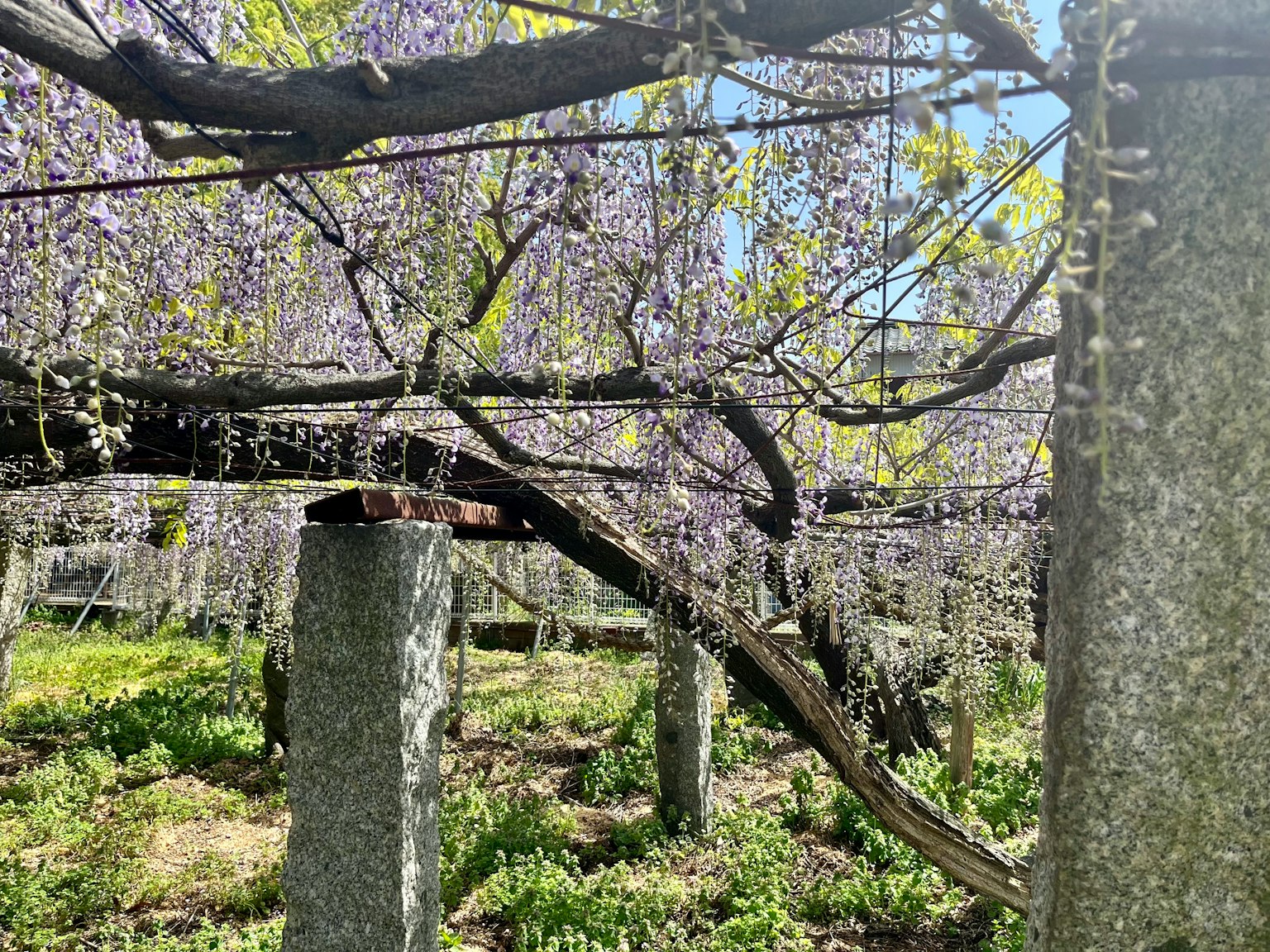 photo-YXKsnVdTs8OEVk2jFWYH-image